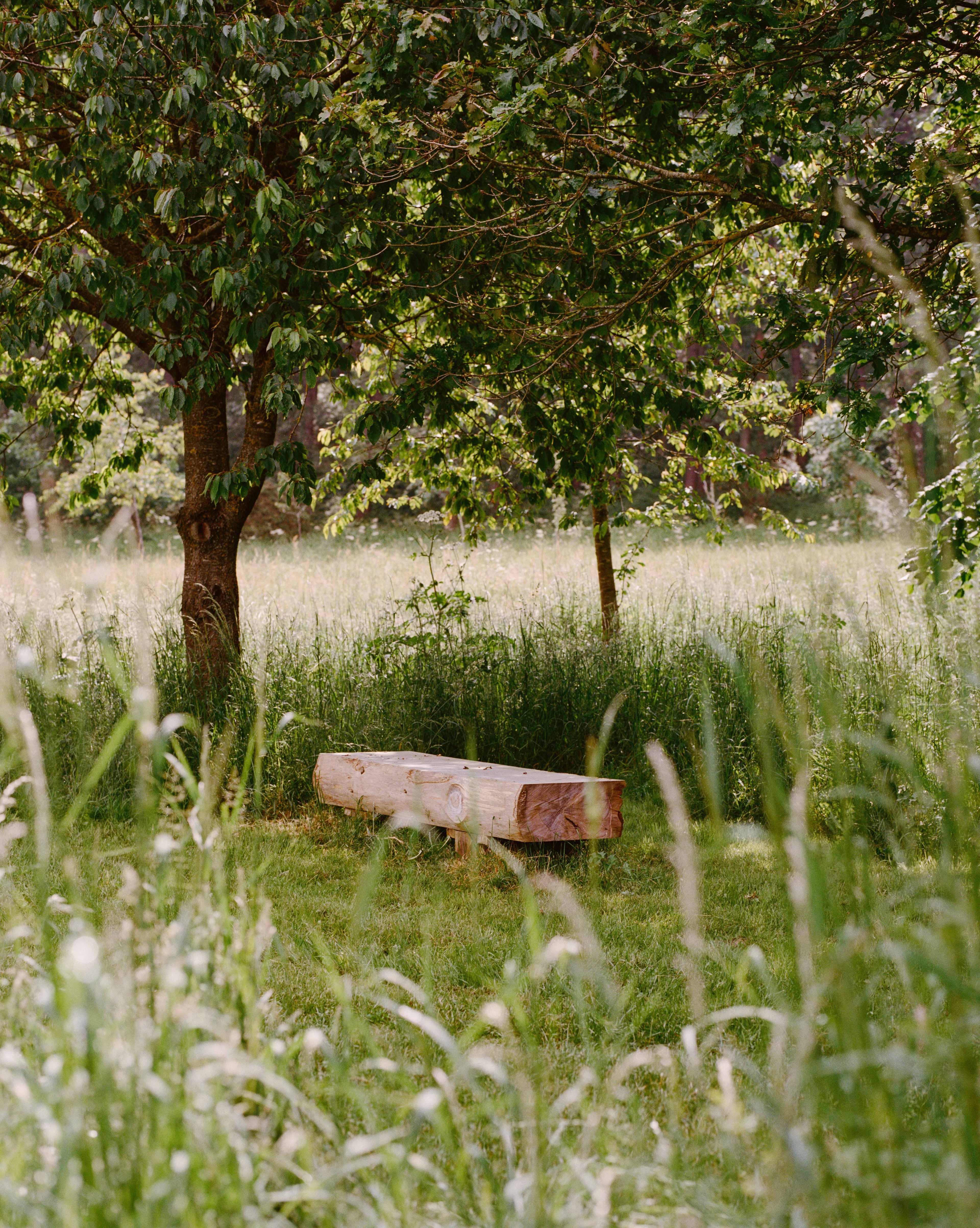 a bench in the woodland