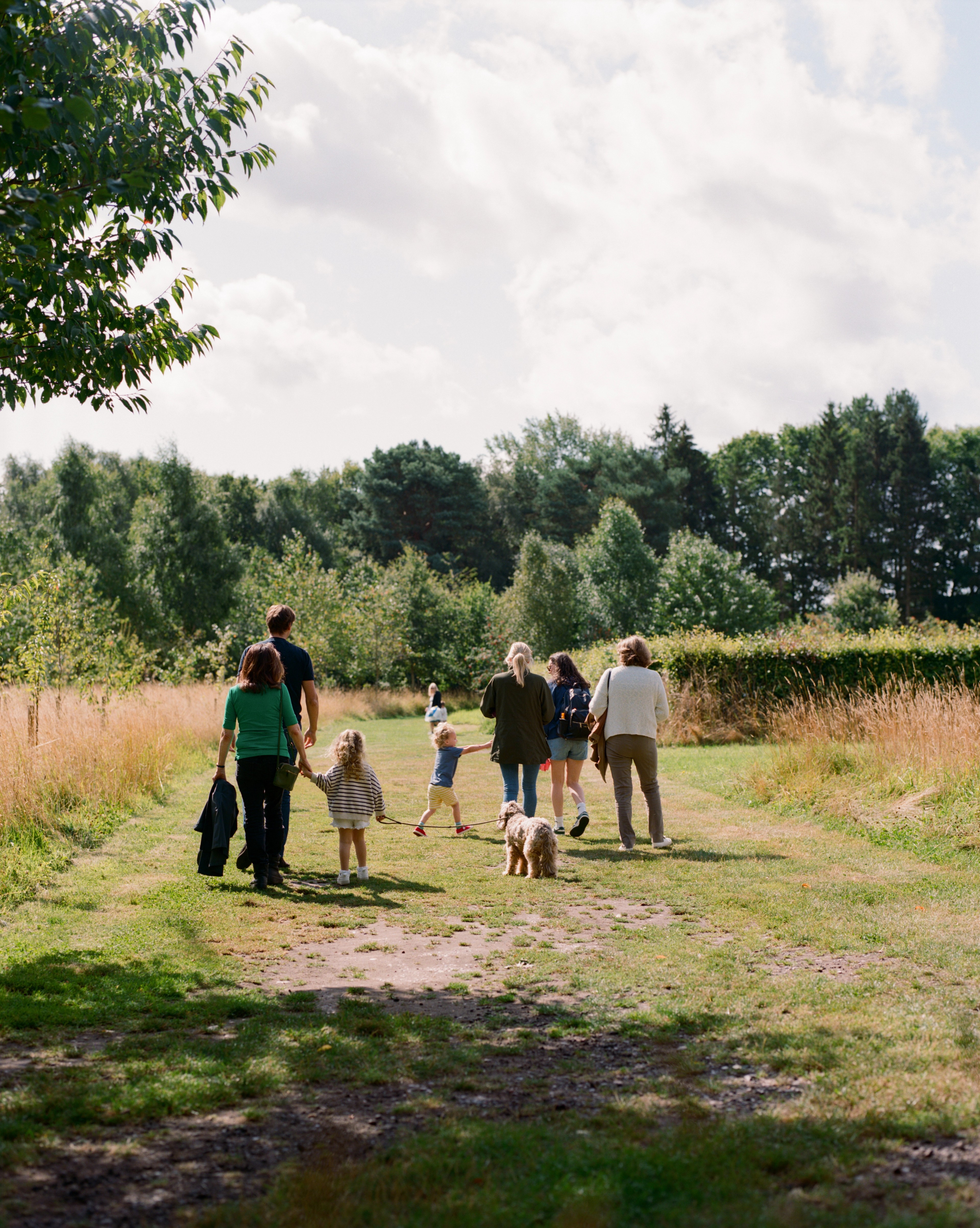 family gathering memorial 