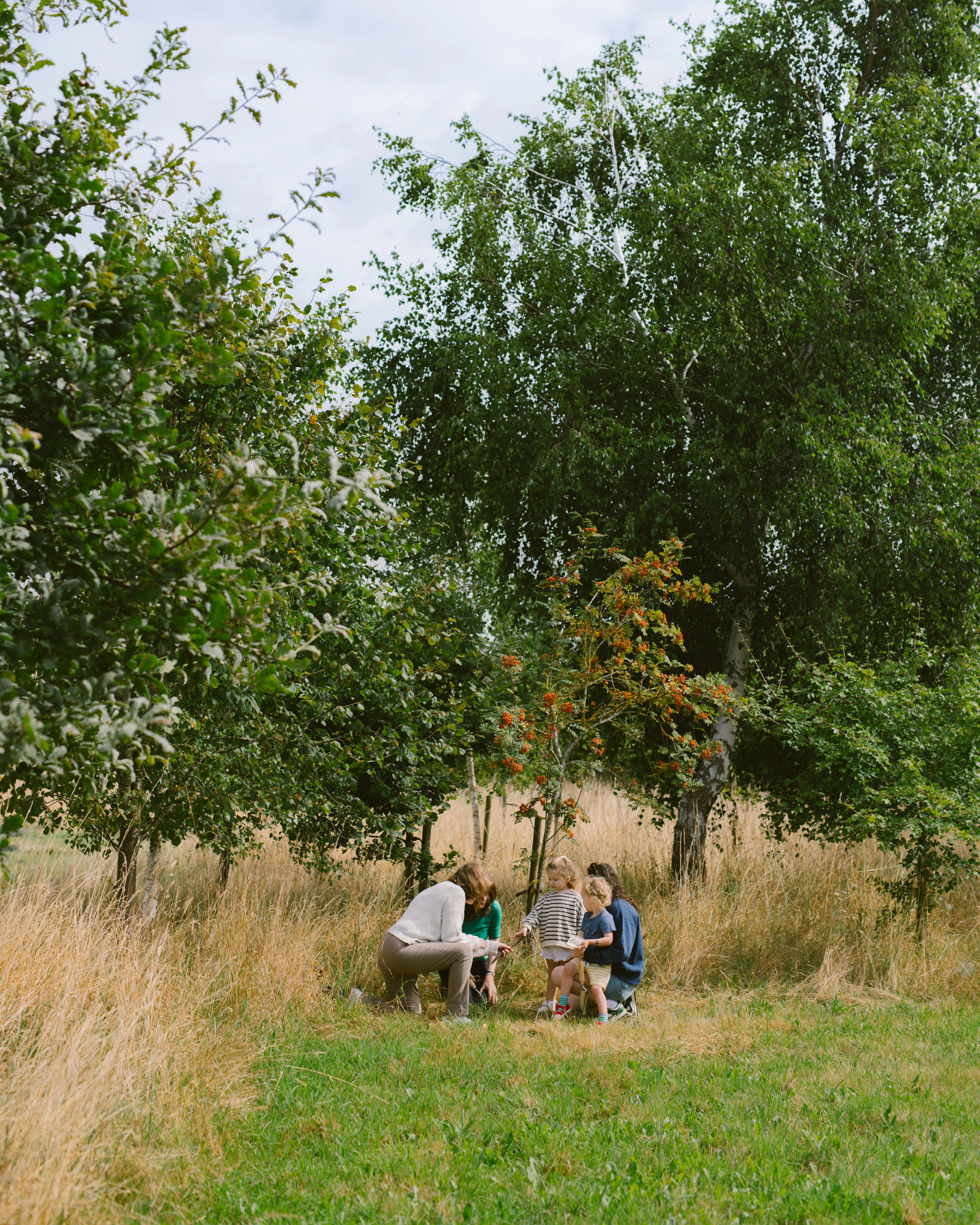 local beekeeper nottingham
