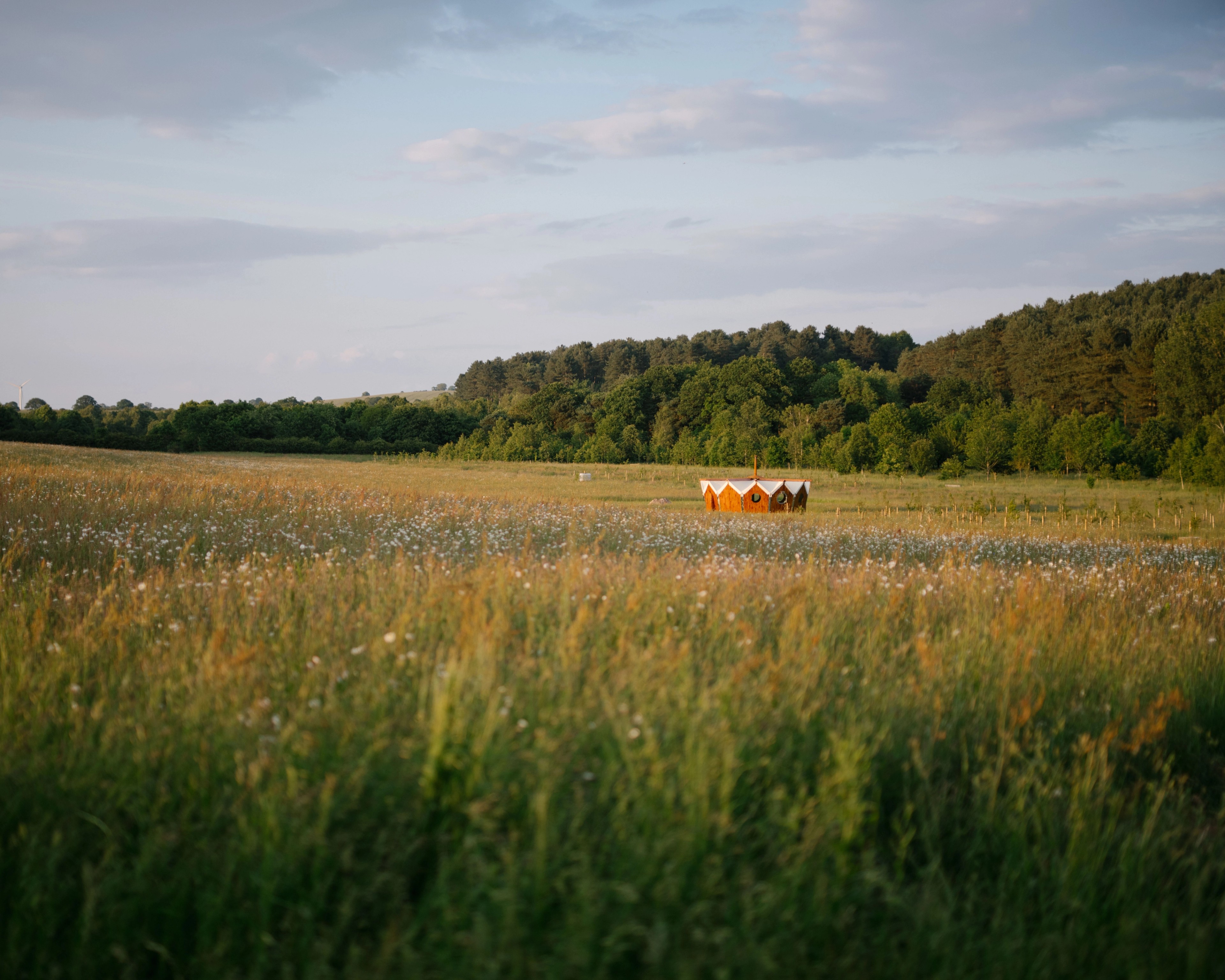 The lush wildflower meadows and distant woodland at Tithe Green Natural Burial