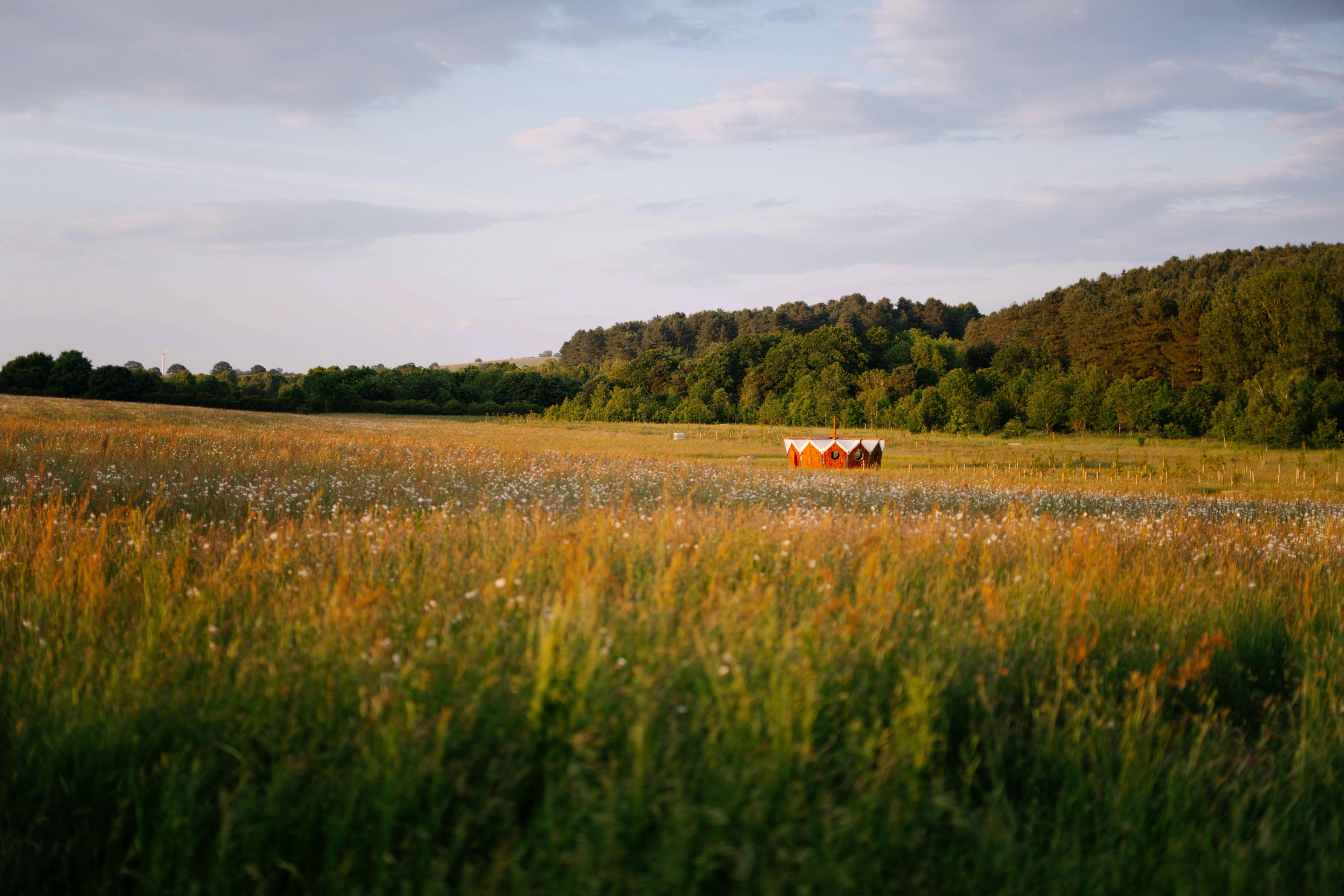 natural burial ground in Oxton