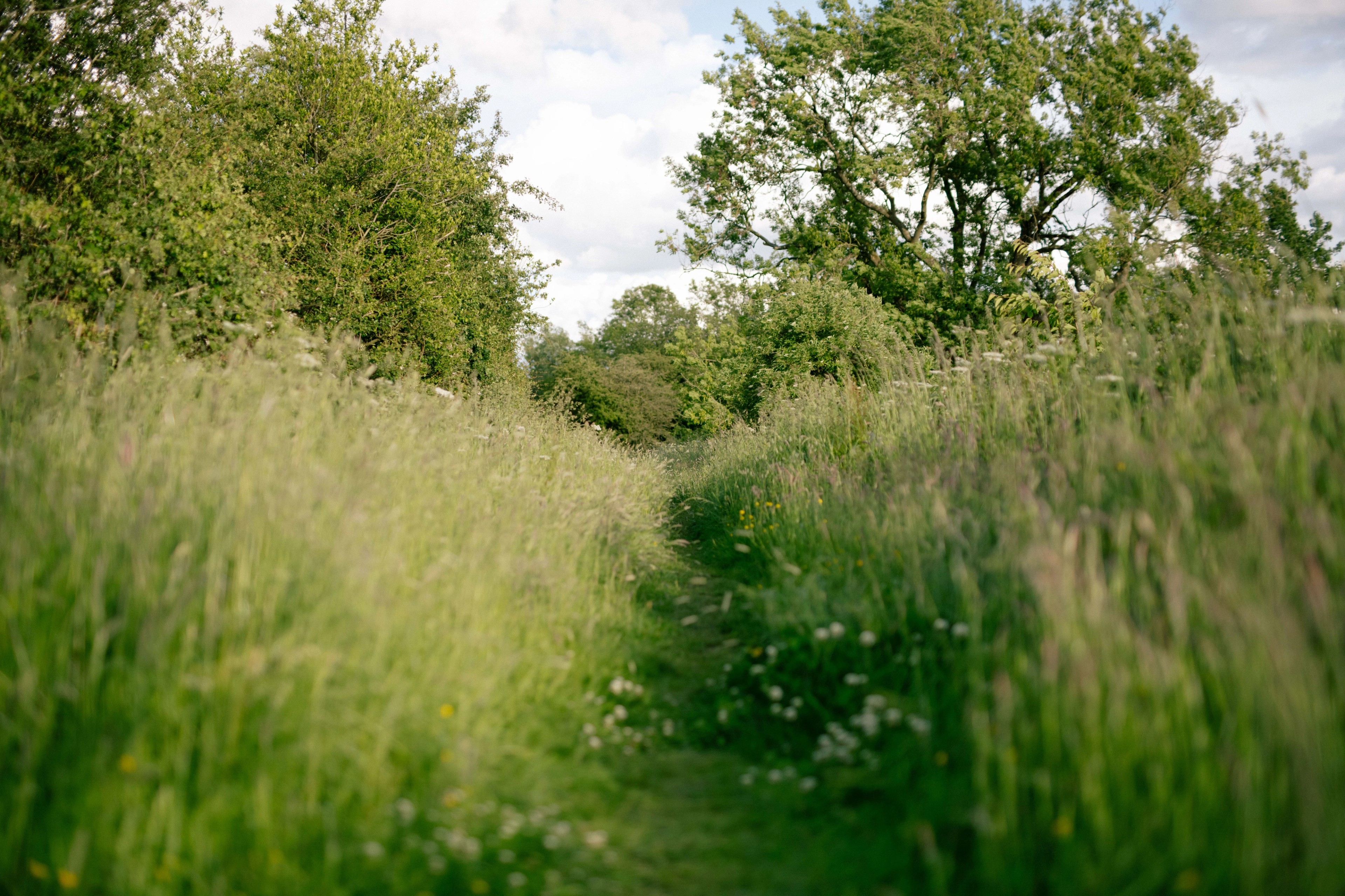 woodland burial hartlepool durham