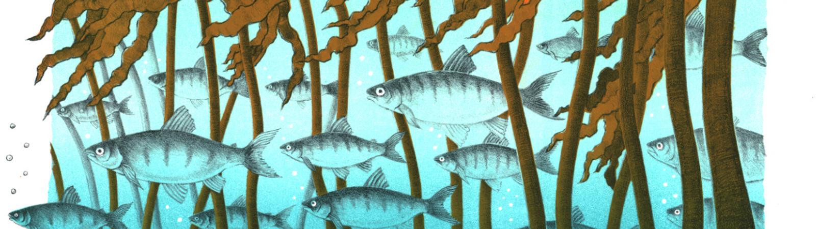 Gini Wade, Fish Forest, 2020