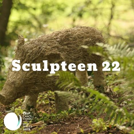 Sculpteen22