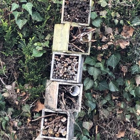 Hayley Parfitt, Insect Hotels, 2020