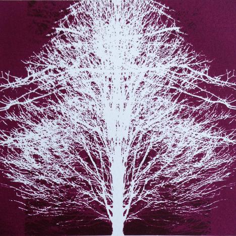 
                  Jacqui Dodds, 
                  Ghost Trees, 
                  undefined
                
