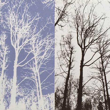 
                  Jacqui Dodds, 
                  Trees, Erddig’, 
                  undefined
                