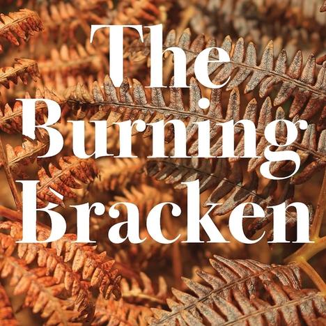 Book Launch - The Burning Bracken by Morgan Davies