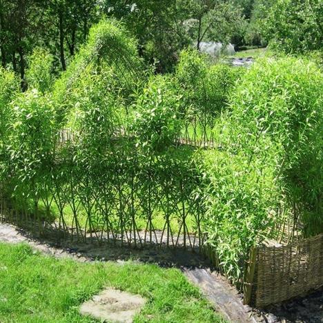 Build a Willow Classroom