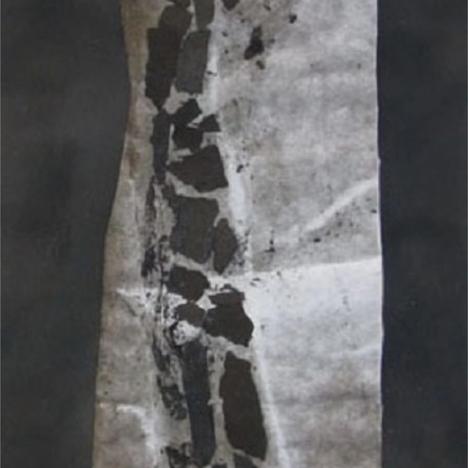 
                  Susan Milne, 
                  Burnt Fragment, 
                  undefined
                