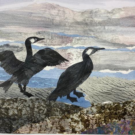 
                  Eleanor Allitt, 
                  Seashore Collection Cormorants, 
                  undefined
                
