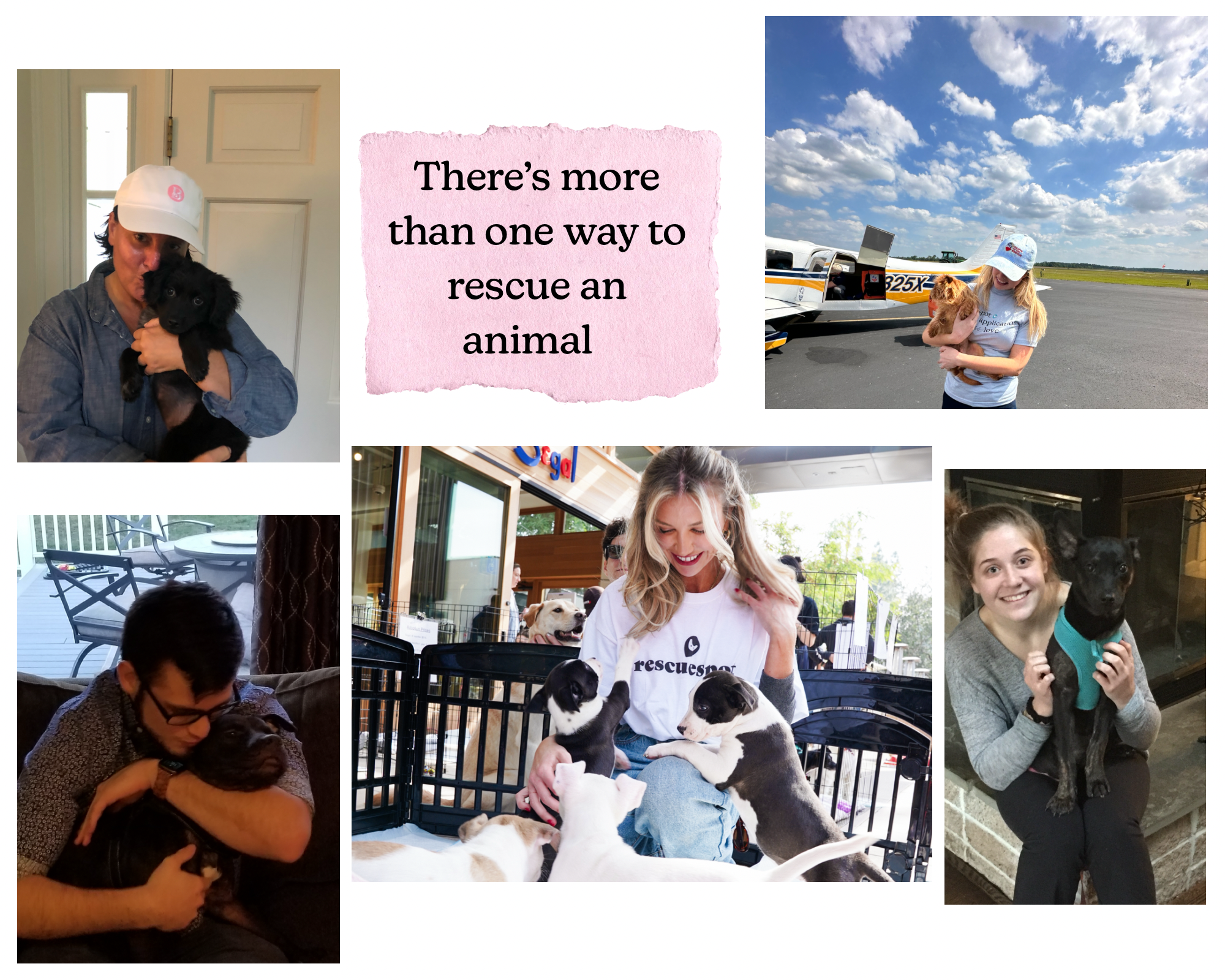 Collage of adoptable dogs and adopters.