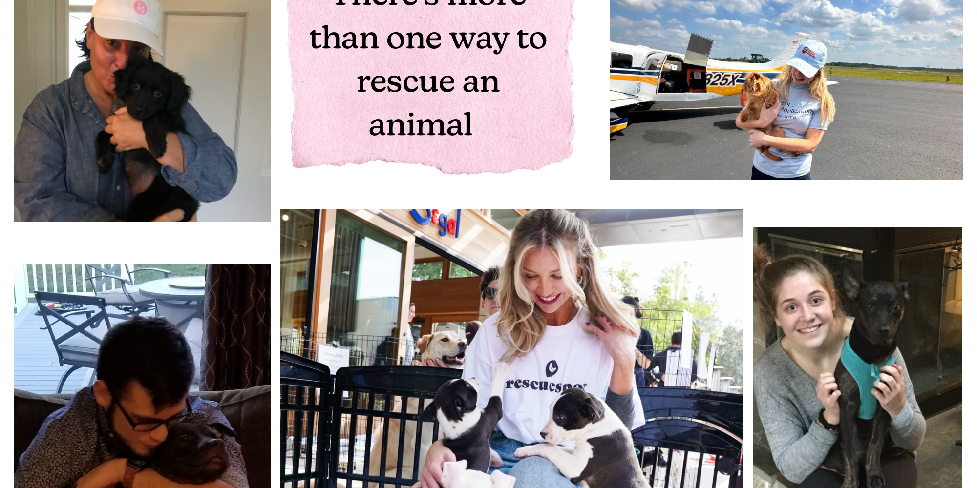 Collage of adoptable dogs and adopters.