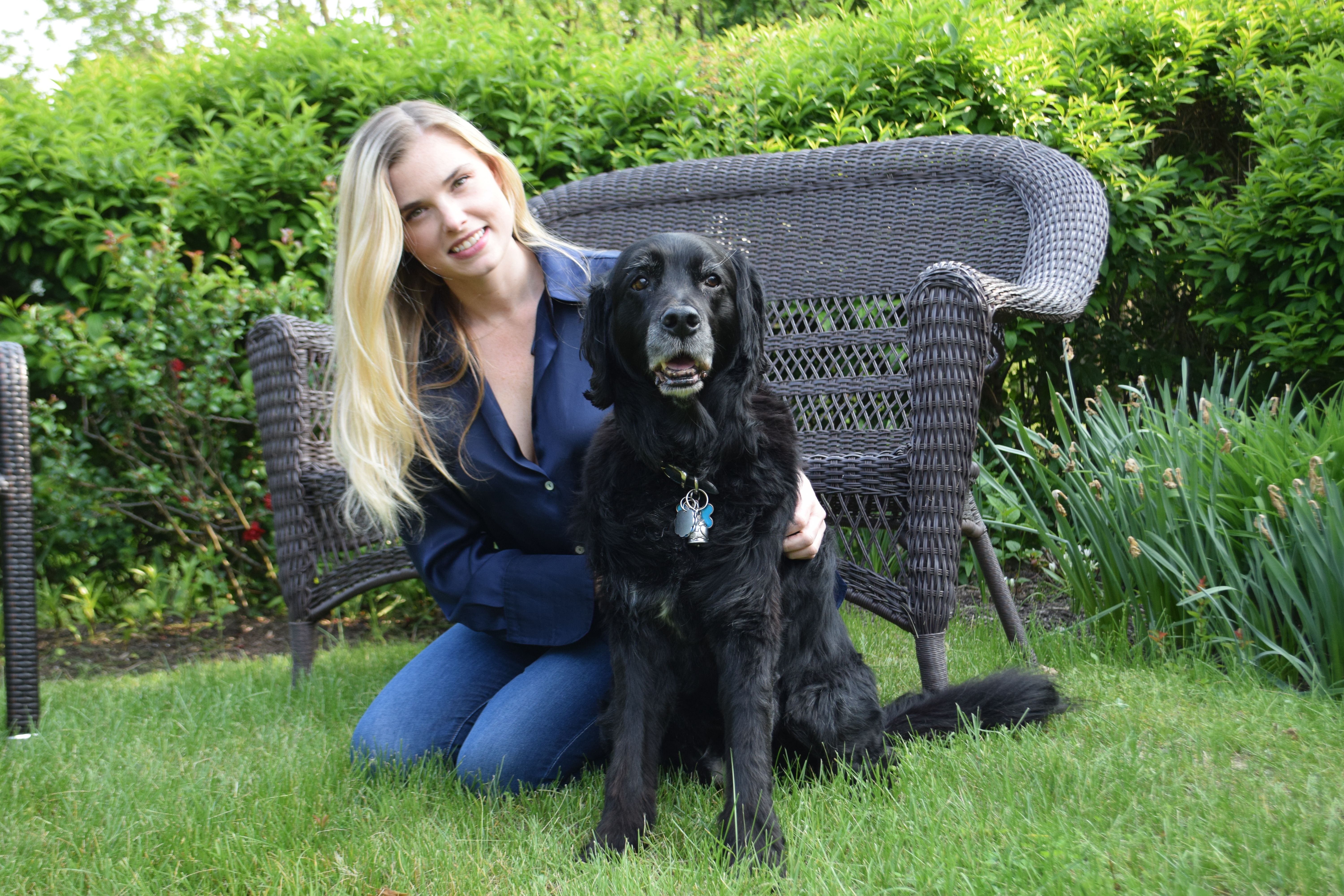 Gatsby, a senior rescue dog, wearing a Maven health tracker