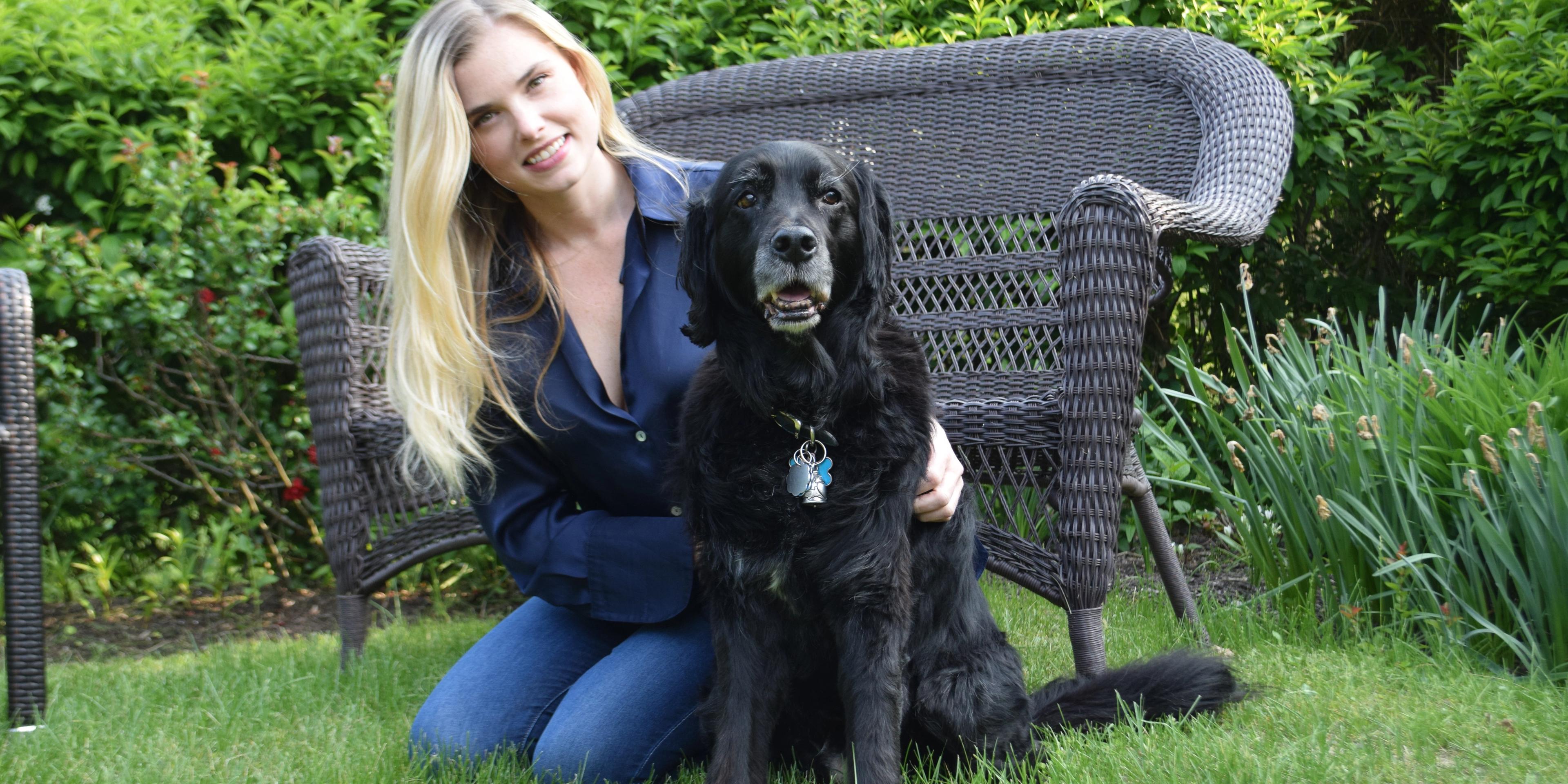 Gatsby, a senior rescue dog, wearing a Maven health tracker