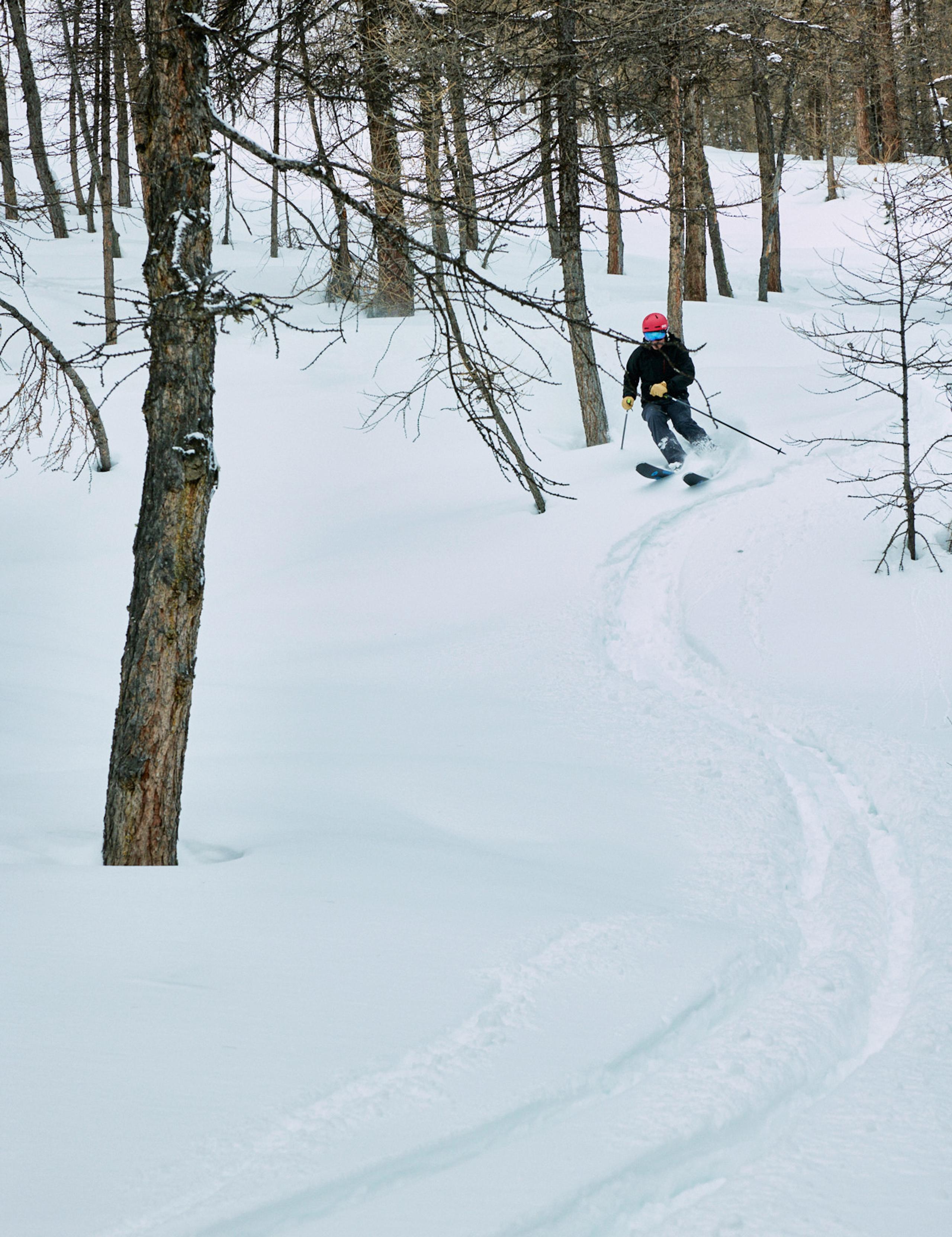 Man wearing Catalyst Snow Shell skiing through trees in French Alps