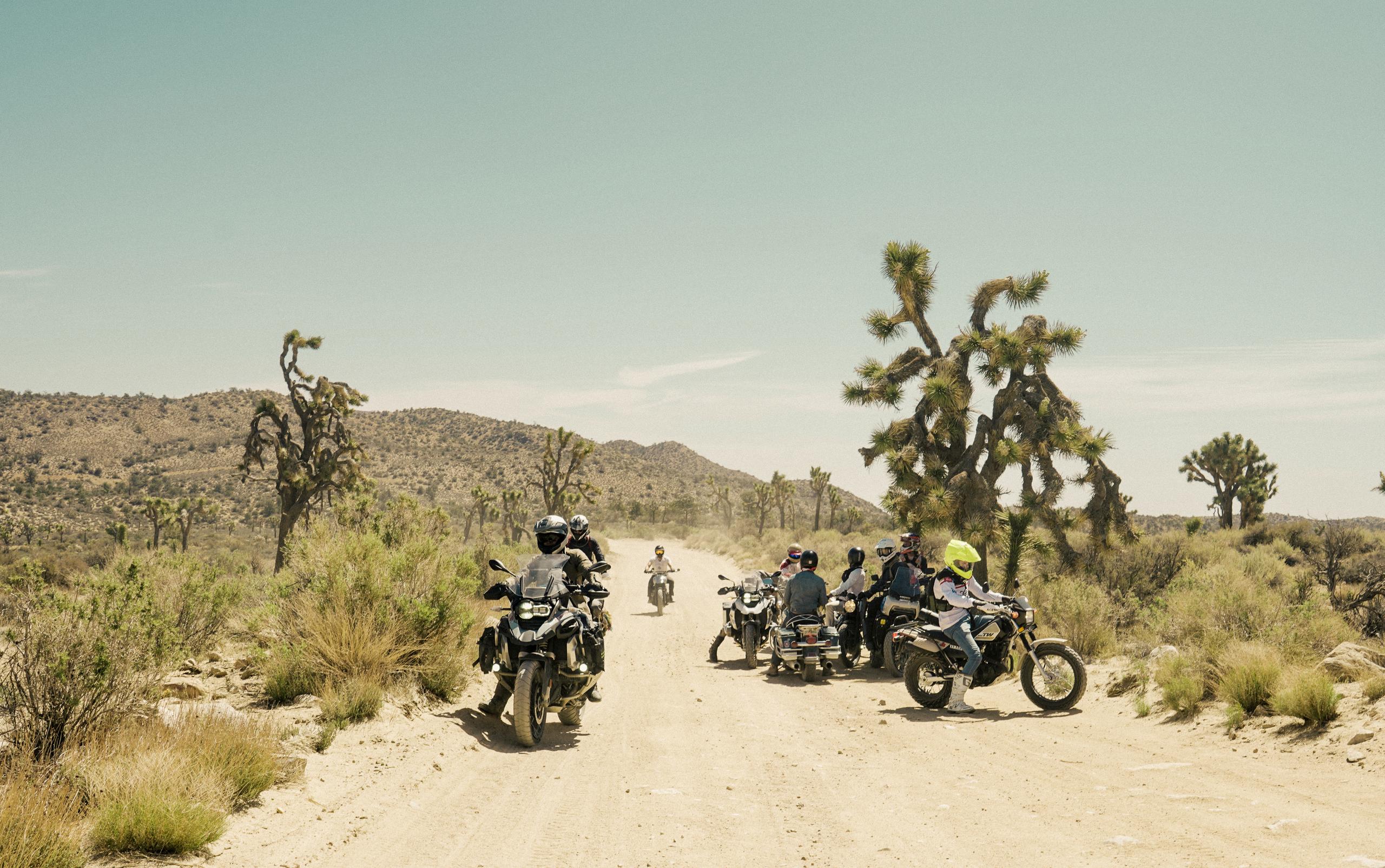 Motorcyclists on dirt path in Joshua Tree, California