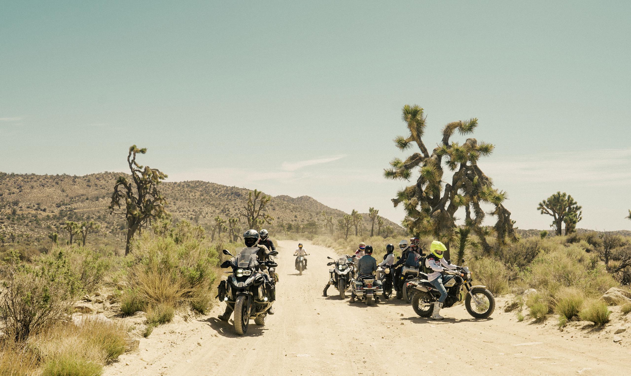 Motorcyclists on dirt path in Joshua Tree