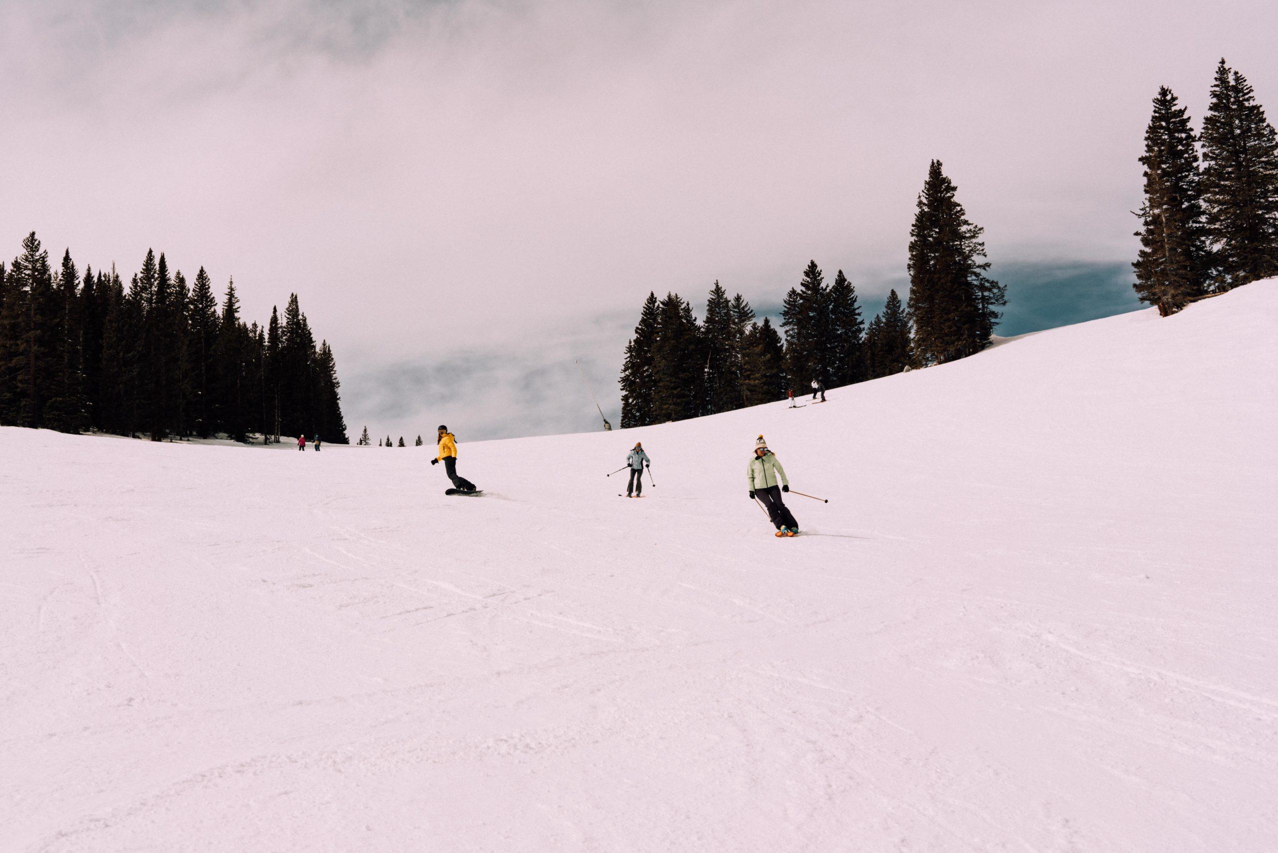 people skiing on a mountain