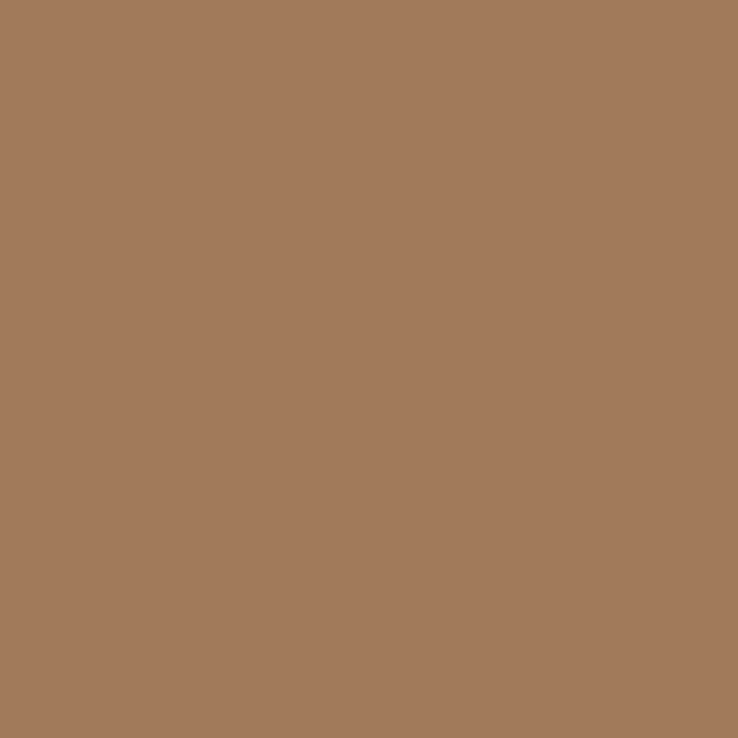 Reserve Brown Color Icon
