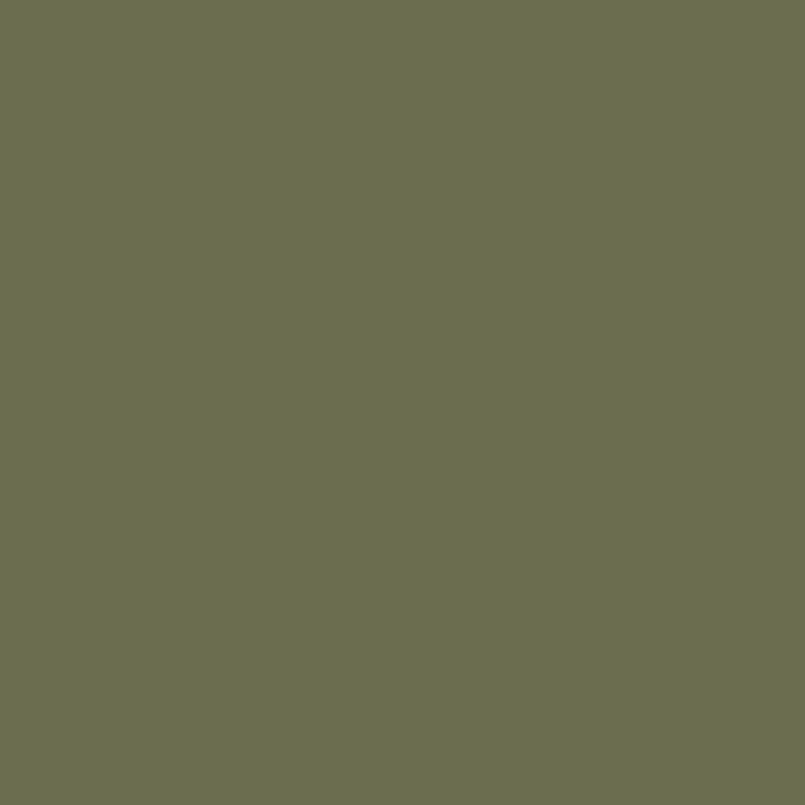 Spruce Color Icon