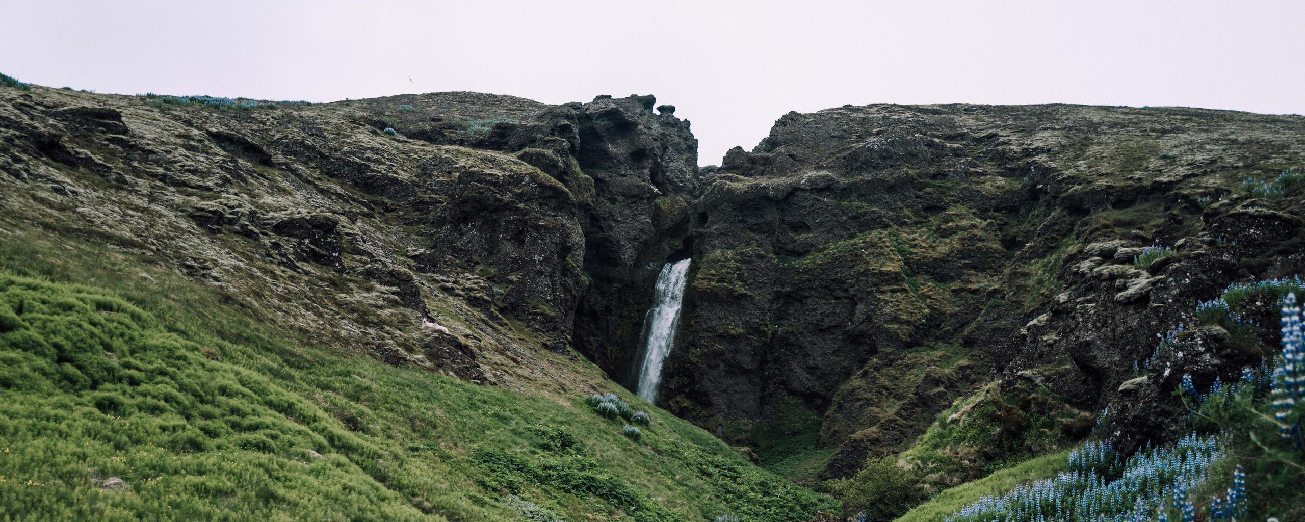 Green rocky field with waterfall in Iceland