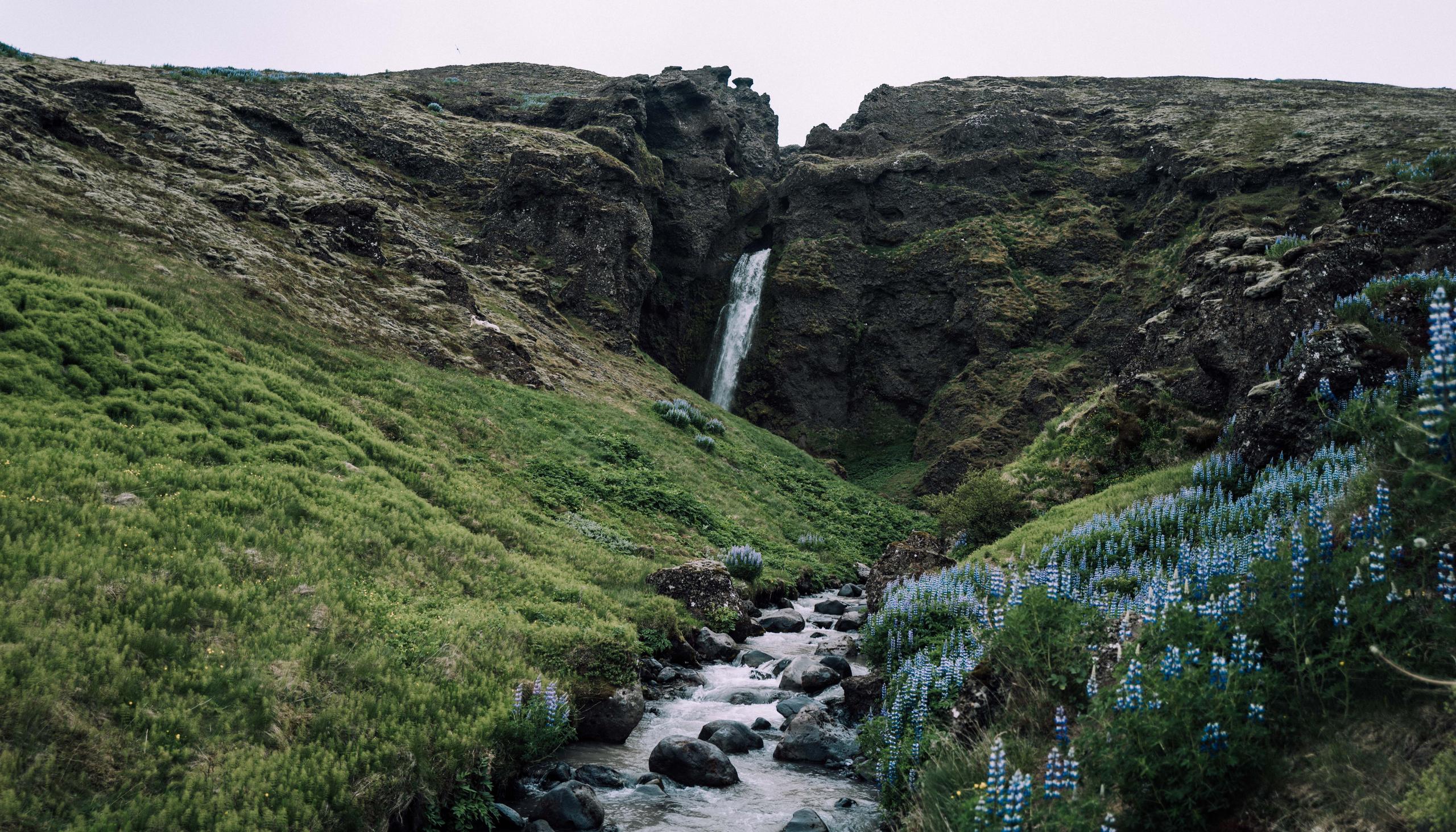 Creek Scenic in Iceland
