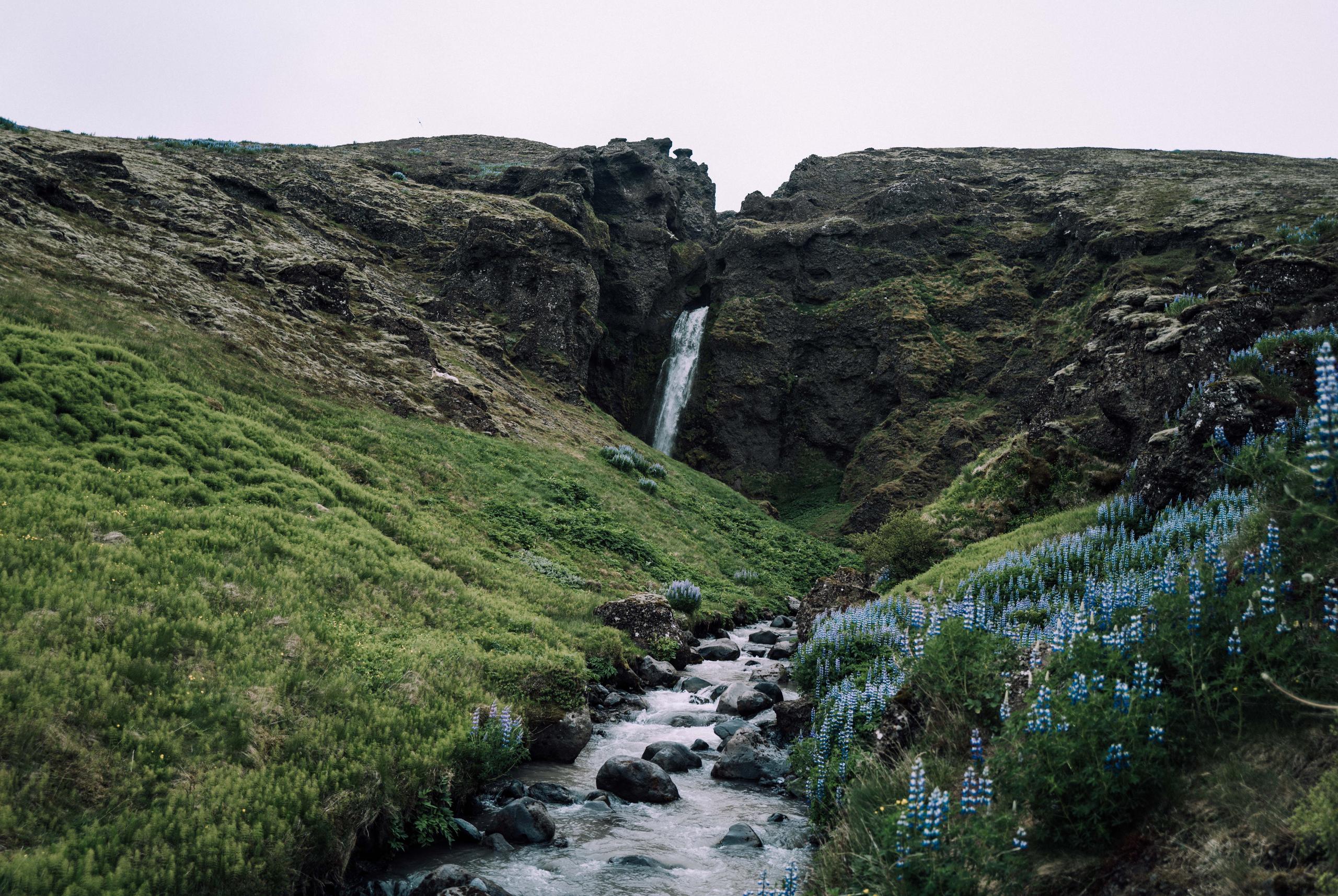 Green rocky landscape with waterfall. inIceland