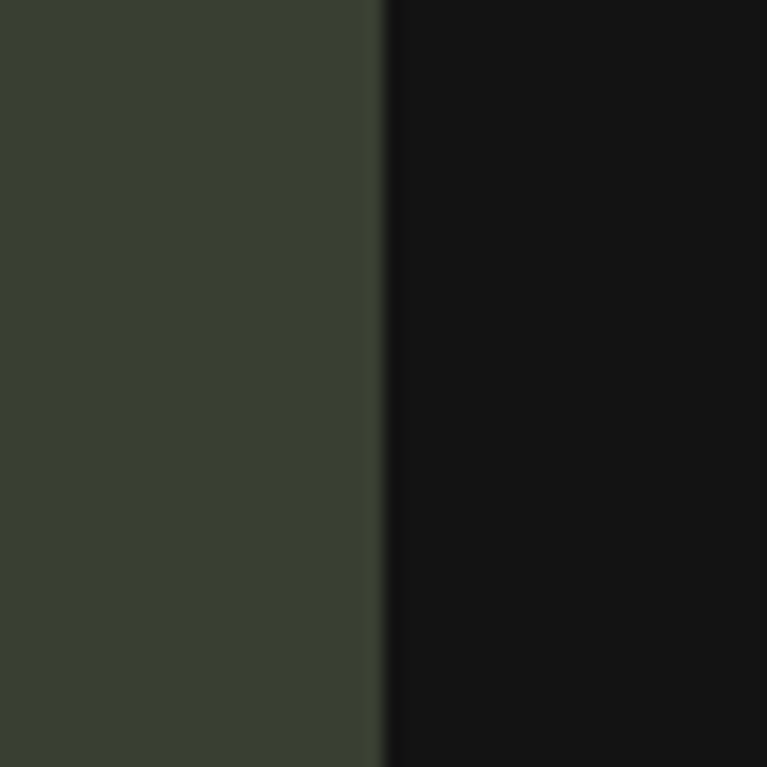 Command Green/Onyx Black Color Icon