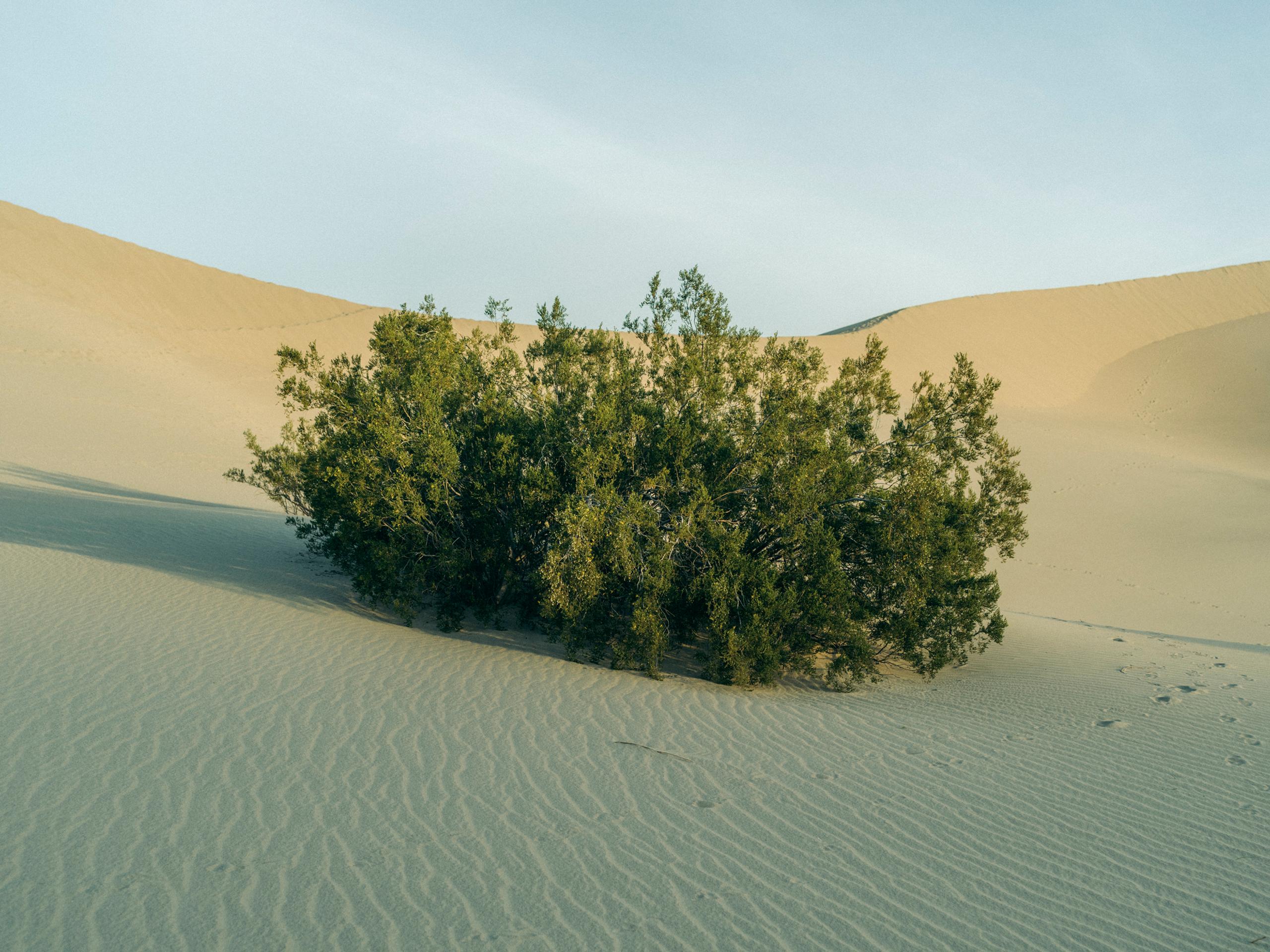 Landscape of sand dunes