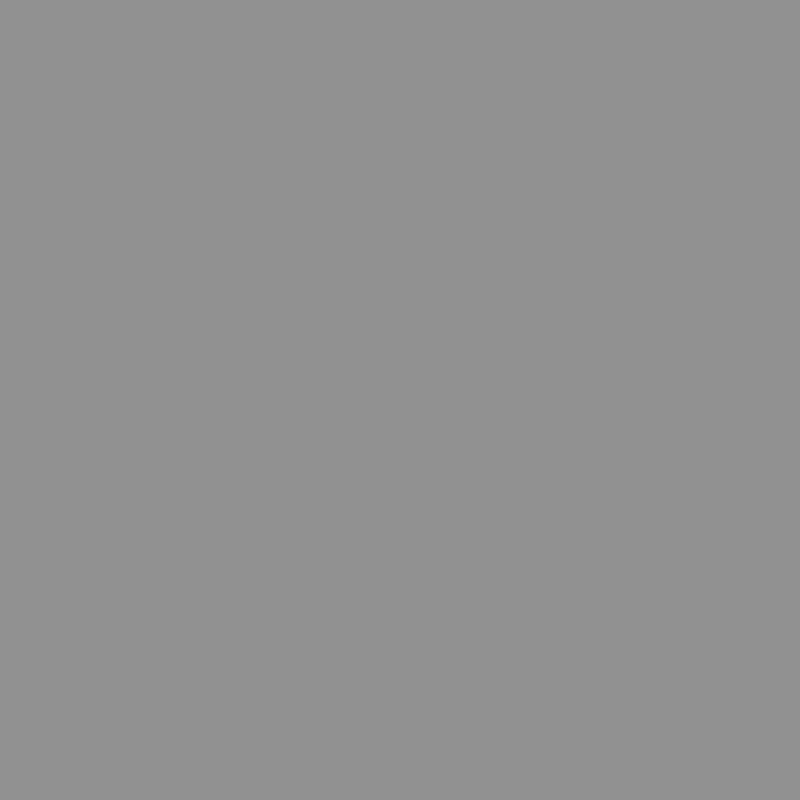 Grey Color Icon