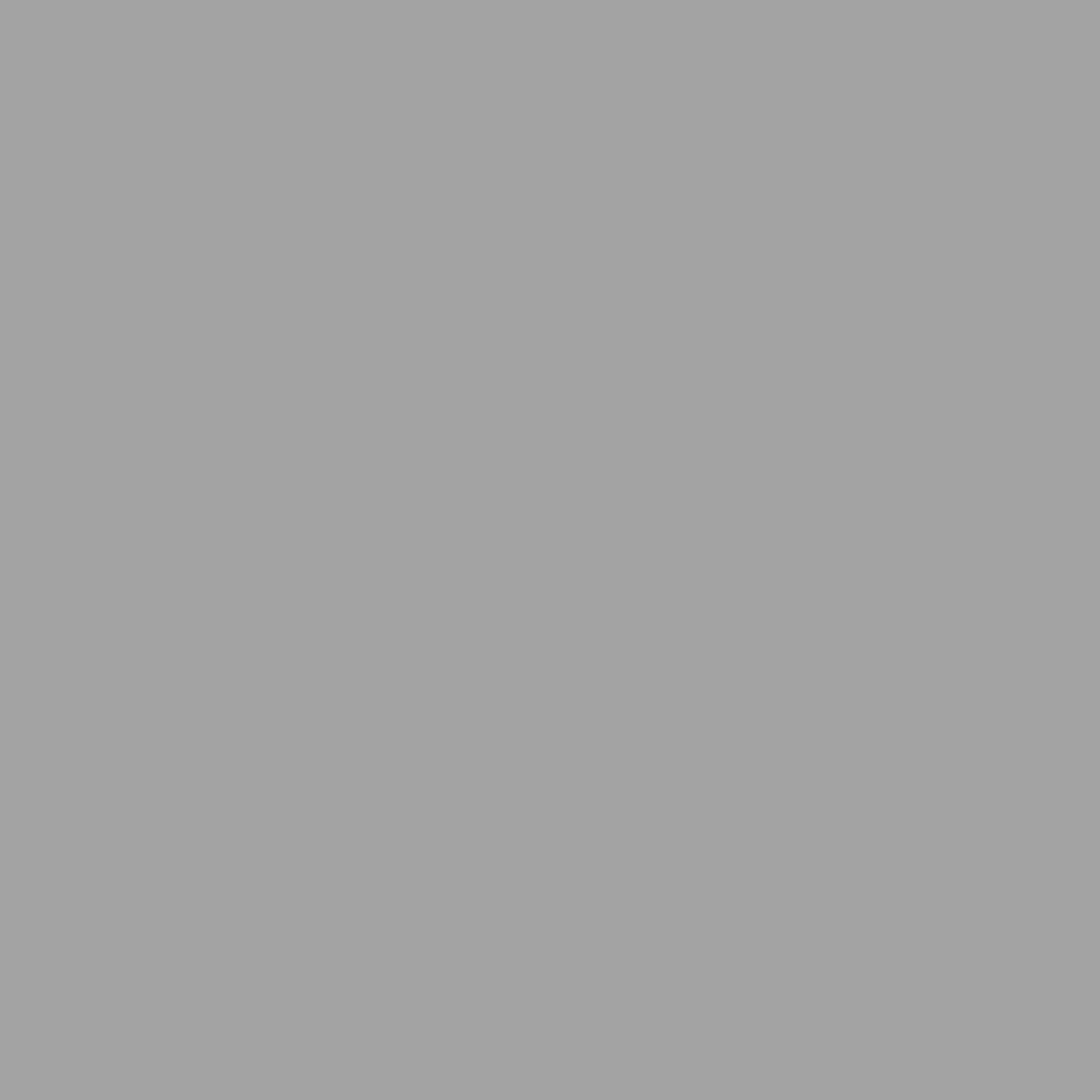Aspen Grey Color Icon