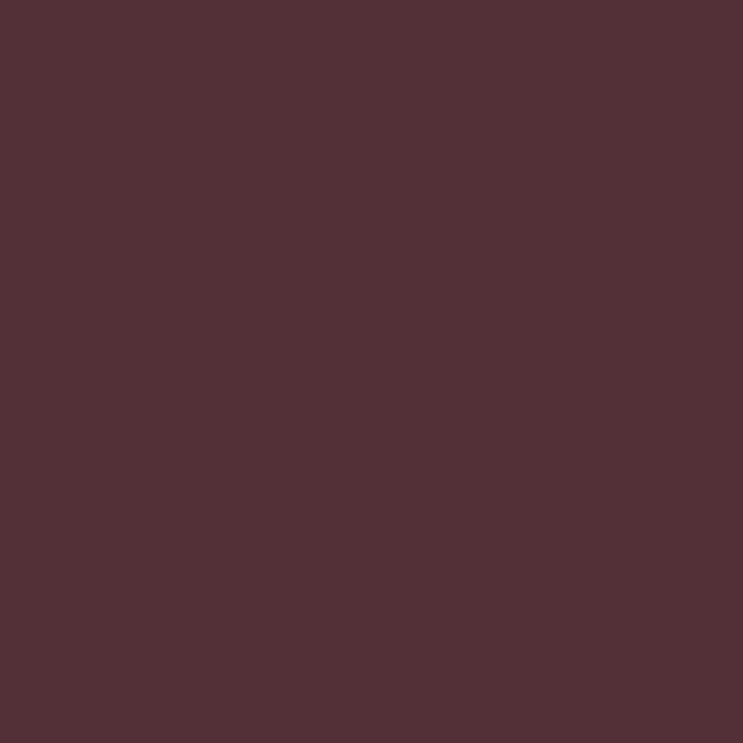 Noctis Burgundy Color Icon