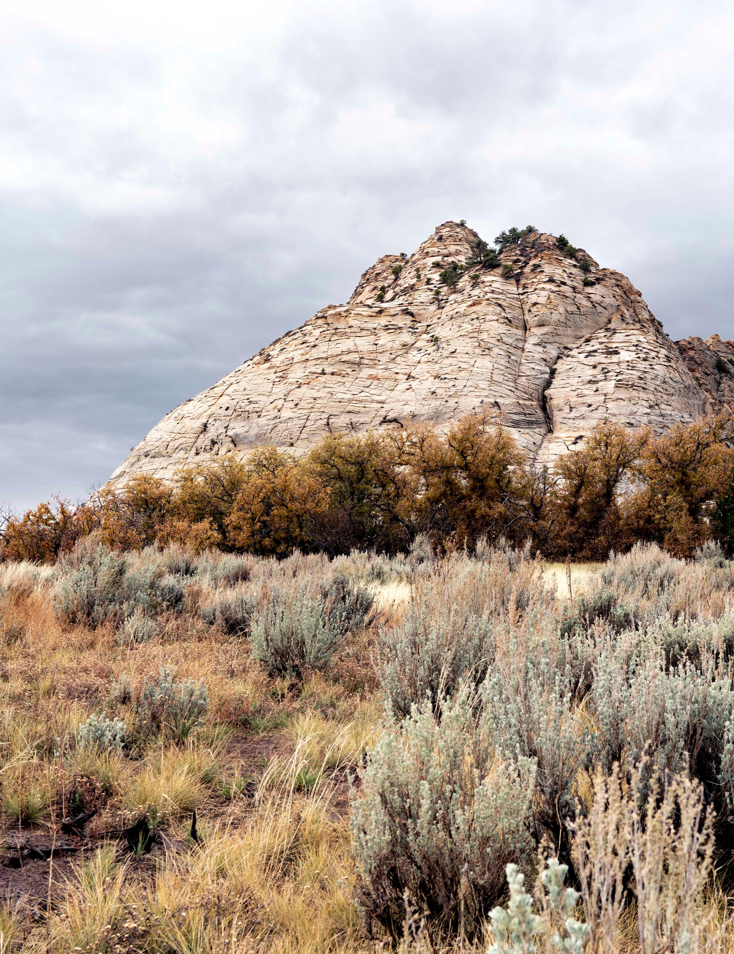Landscape of boulder in Zion, Utah