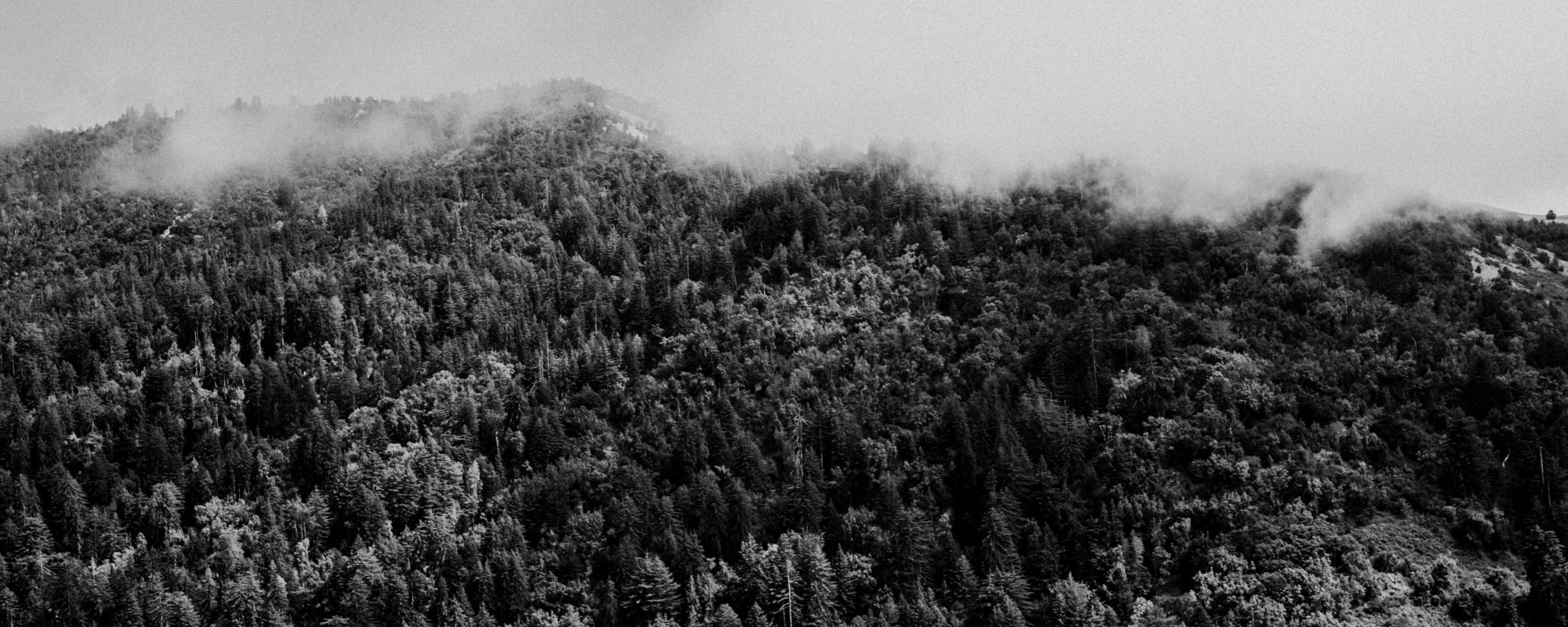 Fog rolling in over mountains in Big Sur, California
