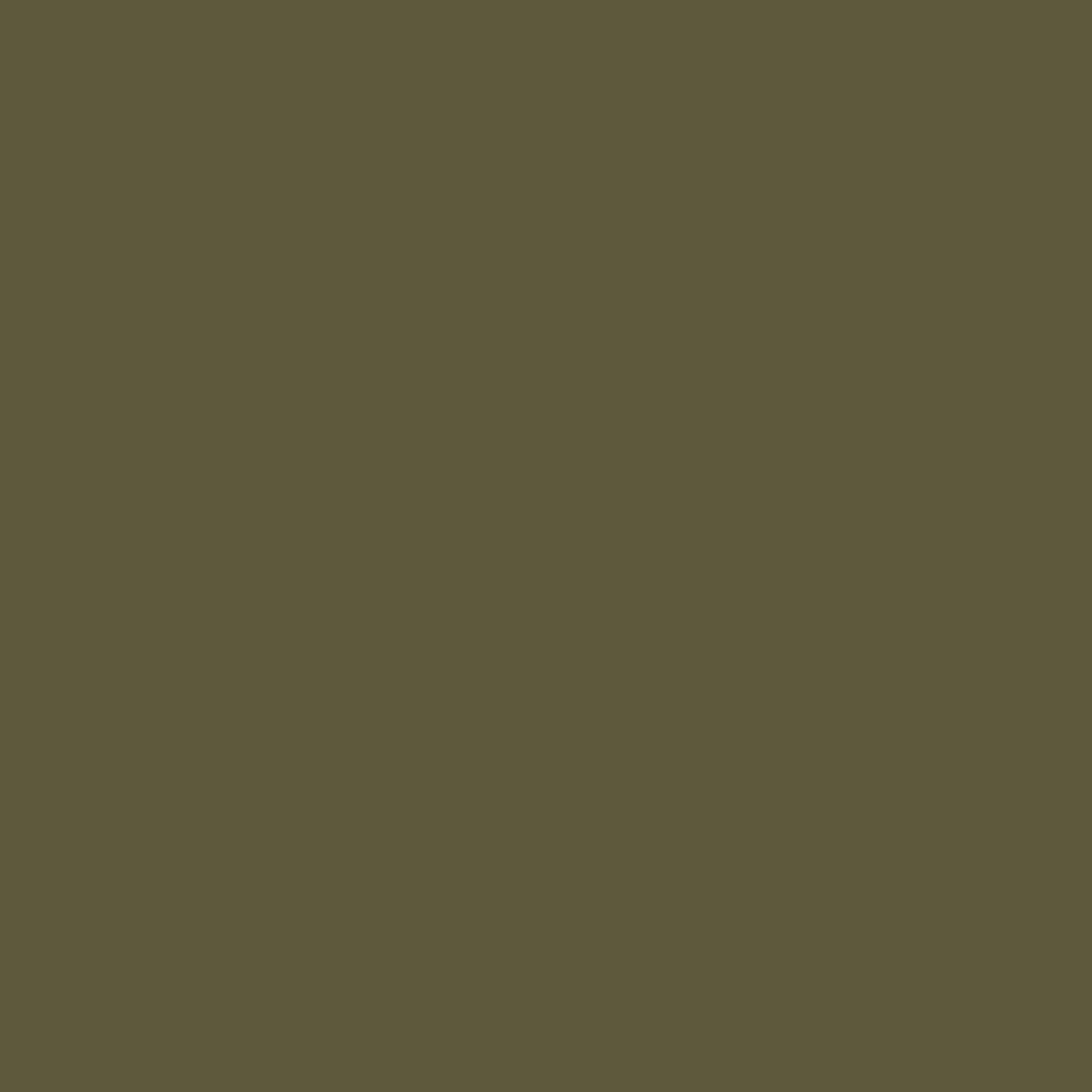 Olive Green Color Icon