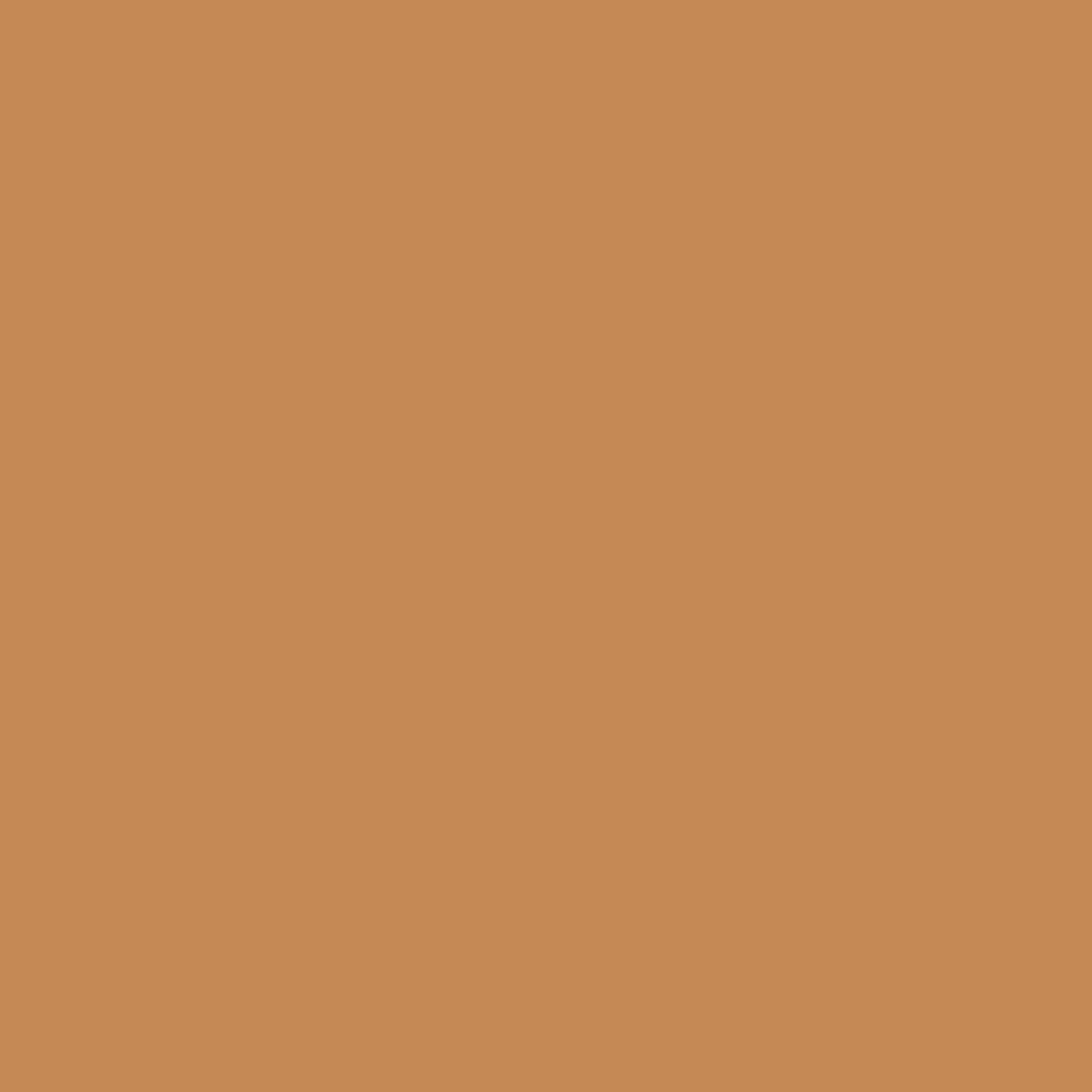 Rubber Brown Color Icon