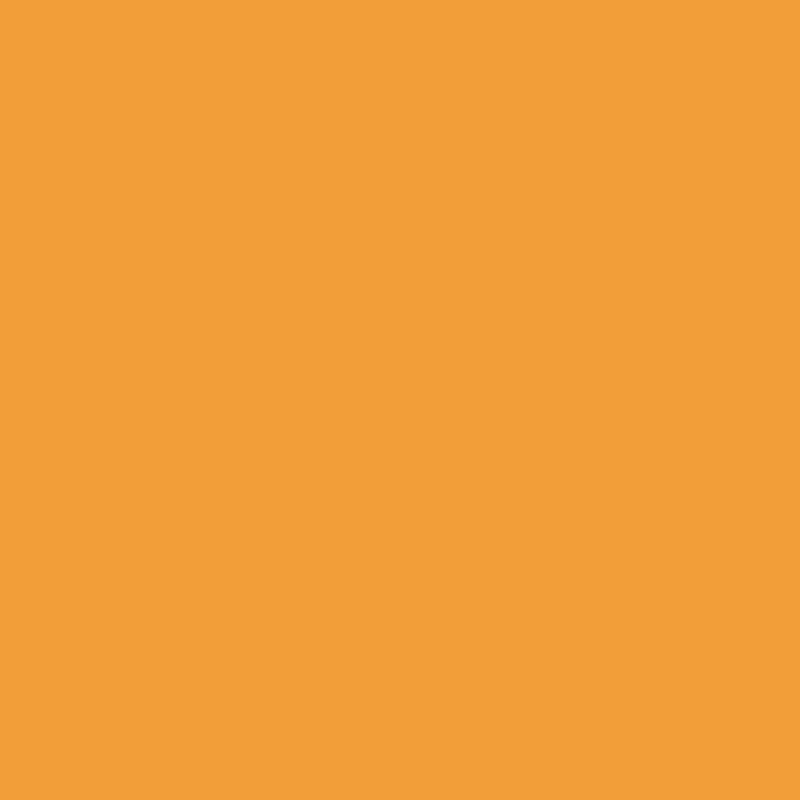 Midas Orange Color Icon