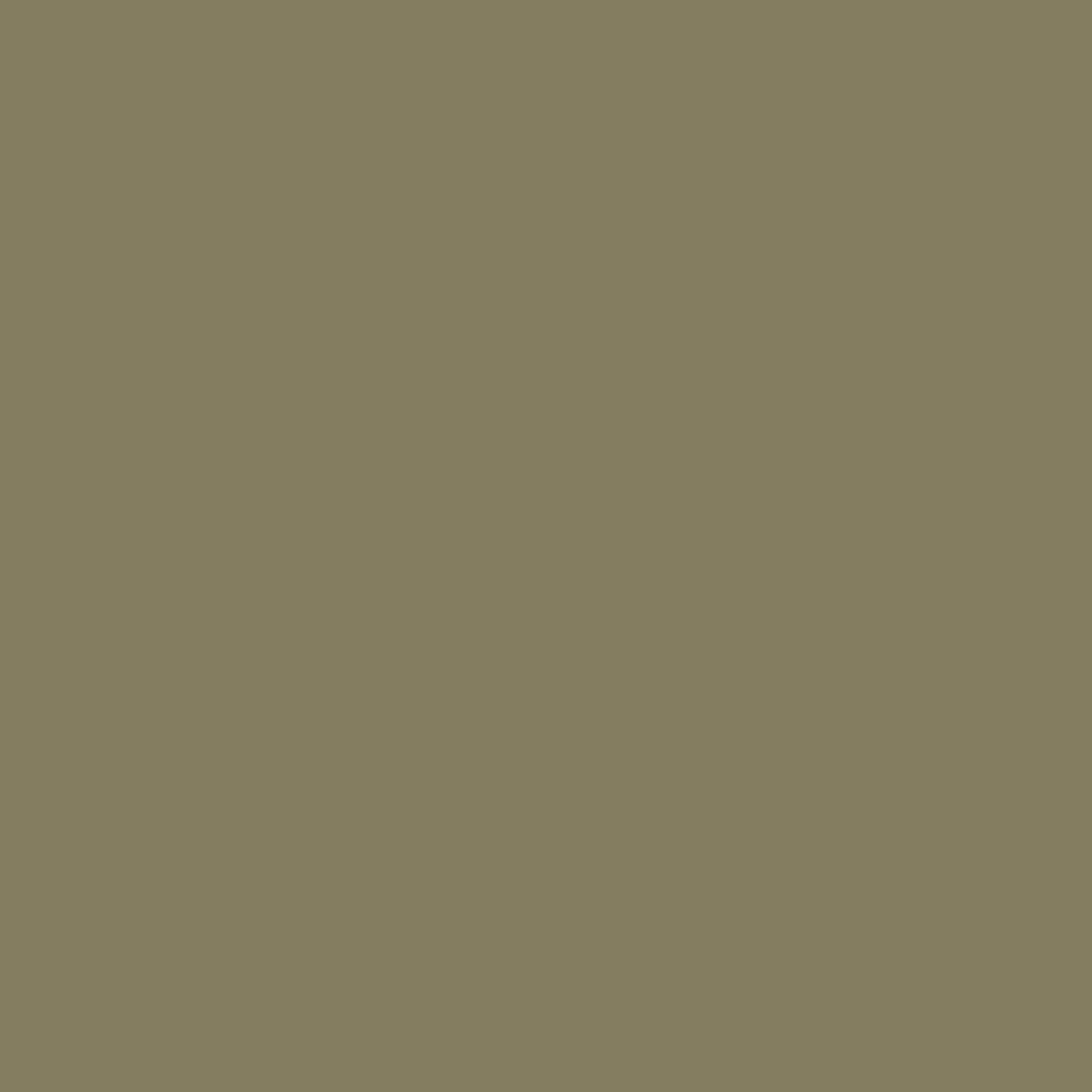 Reserve Brown Heather Color Icon