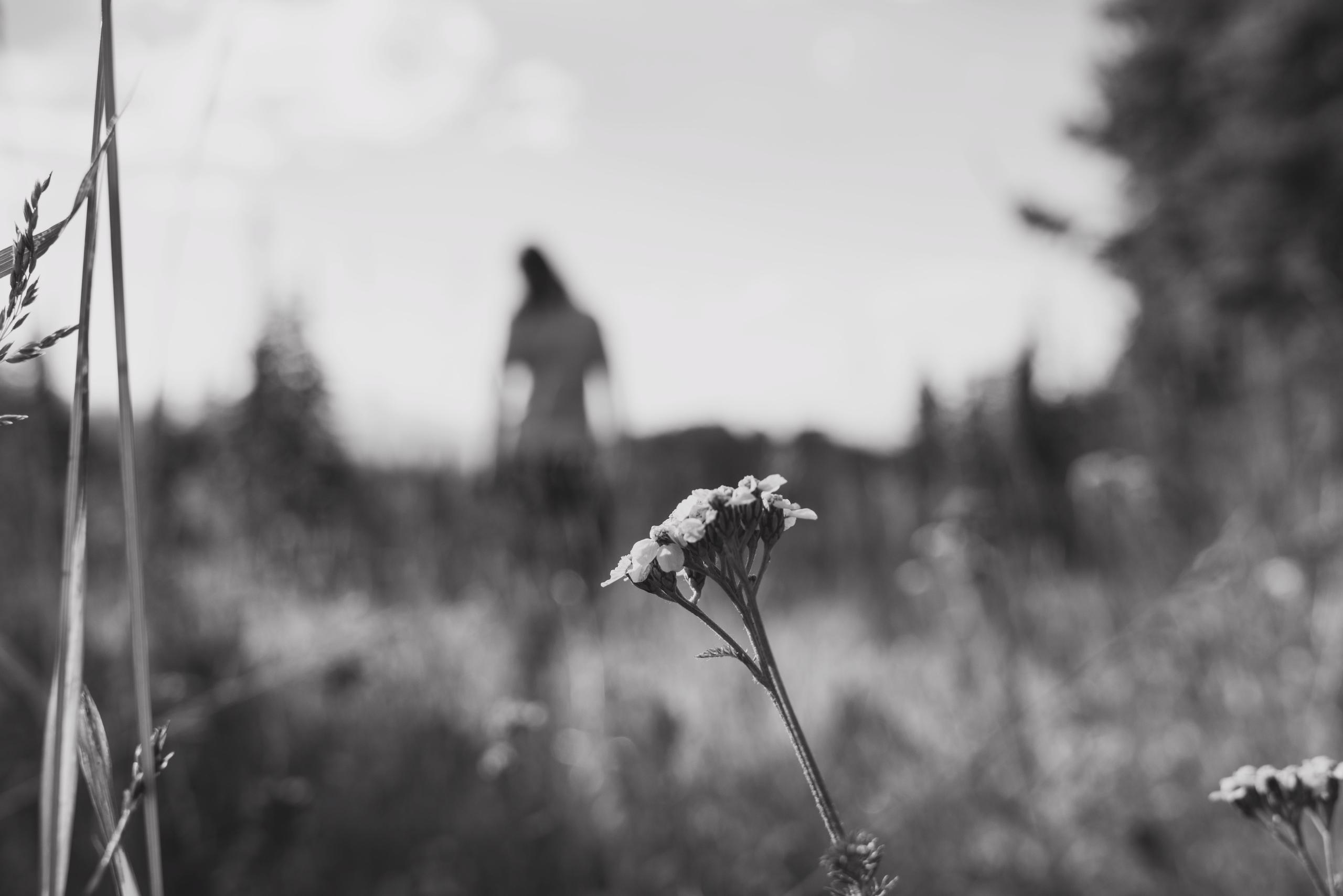 Black and white photograph of flower on mountain with silhouette of woman in background