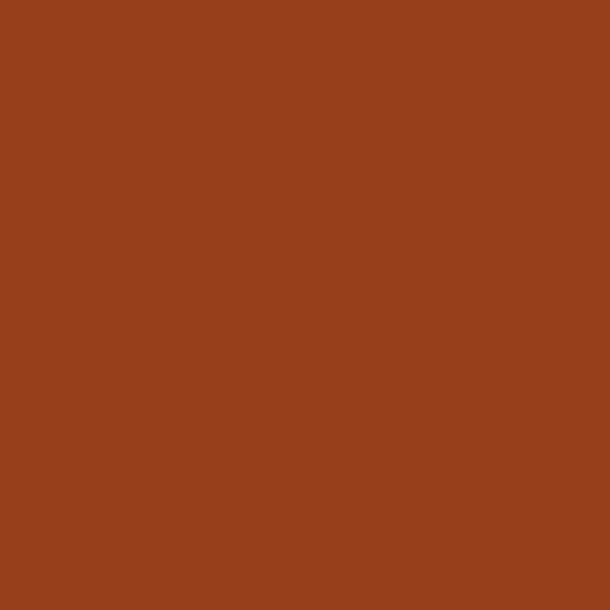 Chestnut Brown Color Icon