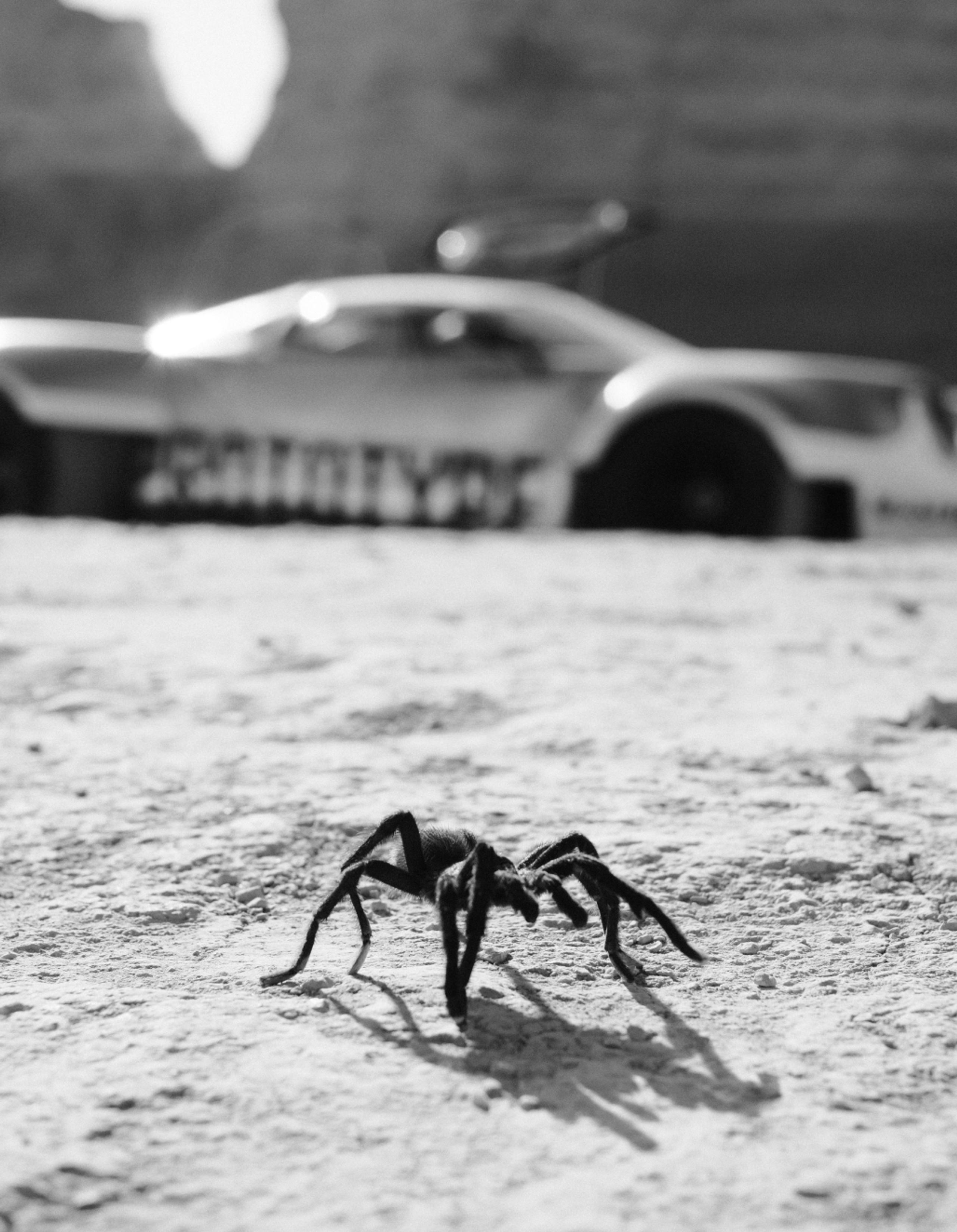 Tarantula in foreground and Hall11 prototype race car in the background