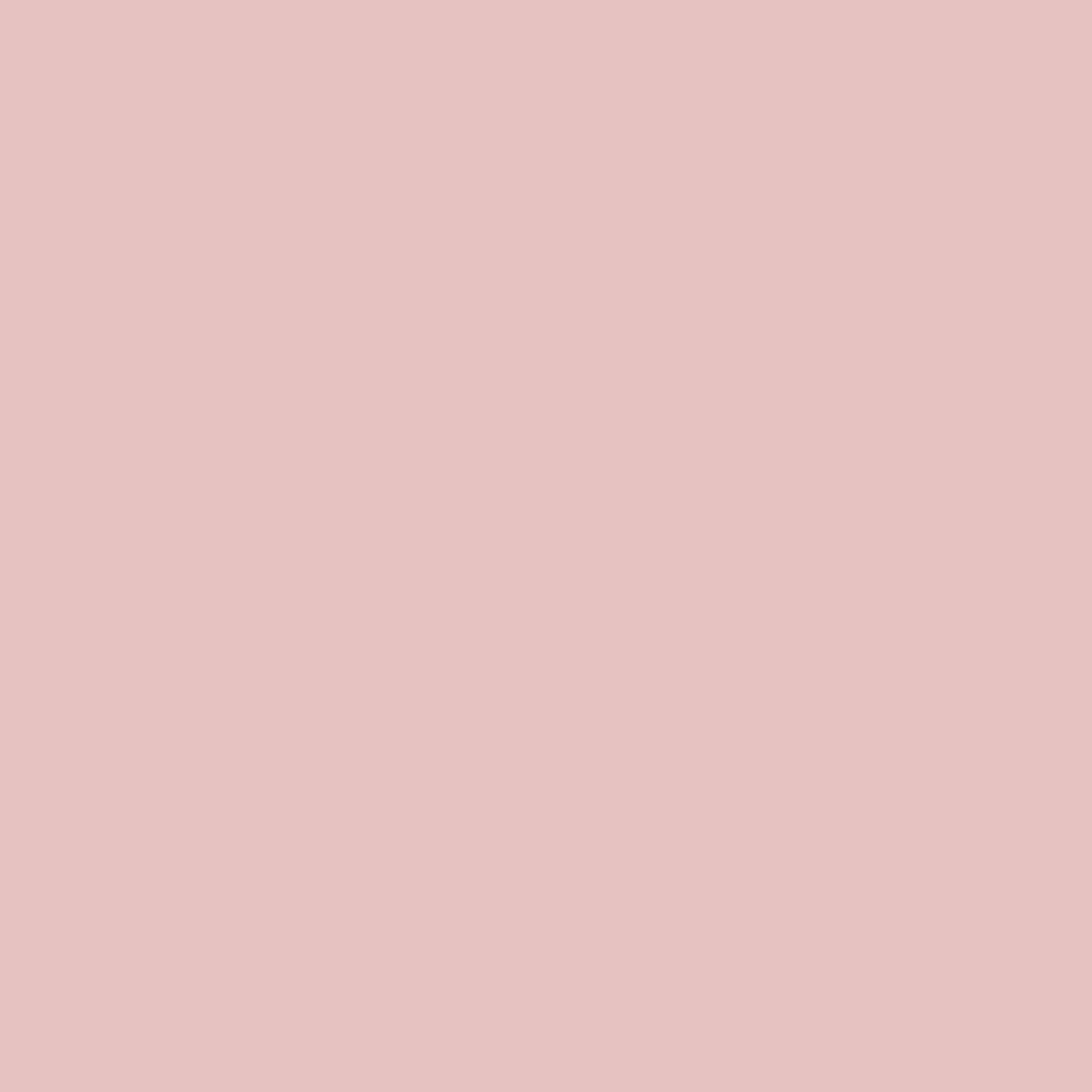 Blush Color Icon