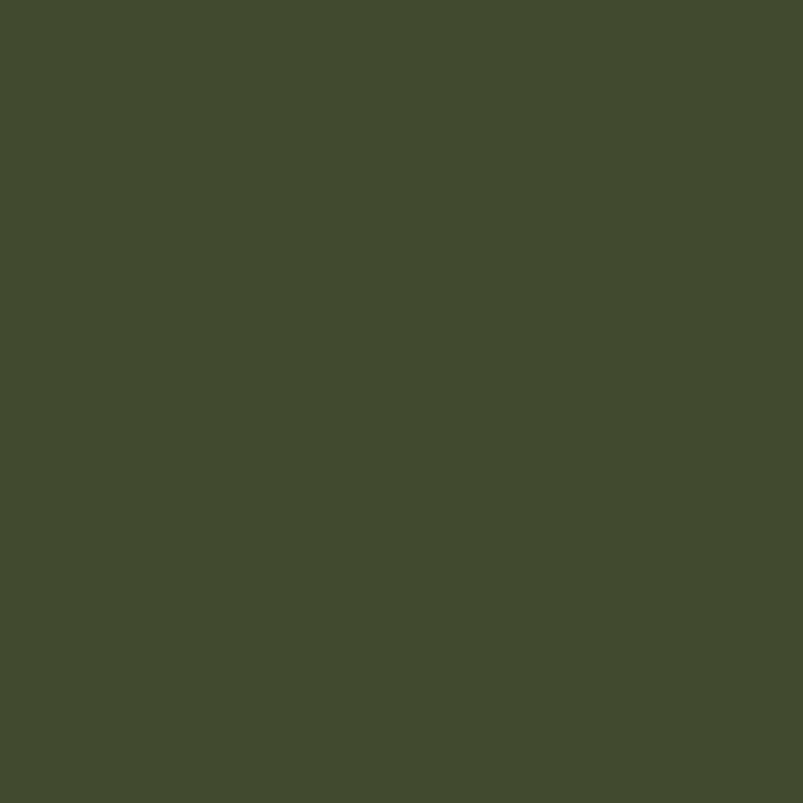 Army Green Color Icon
