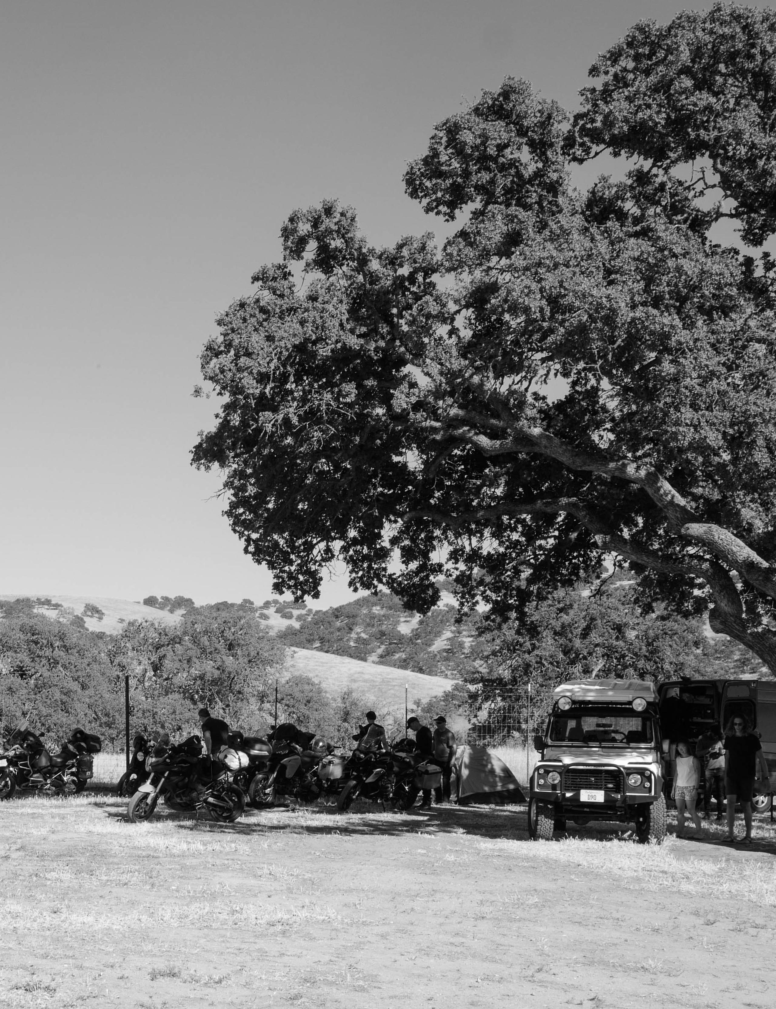 Black and white photo of campsite under oak tree in Paso Robles