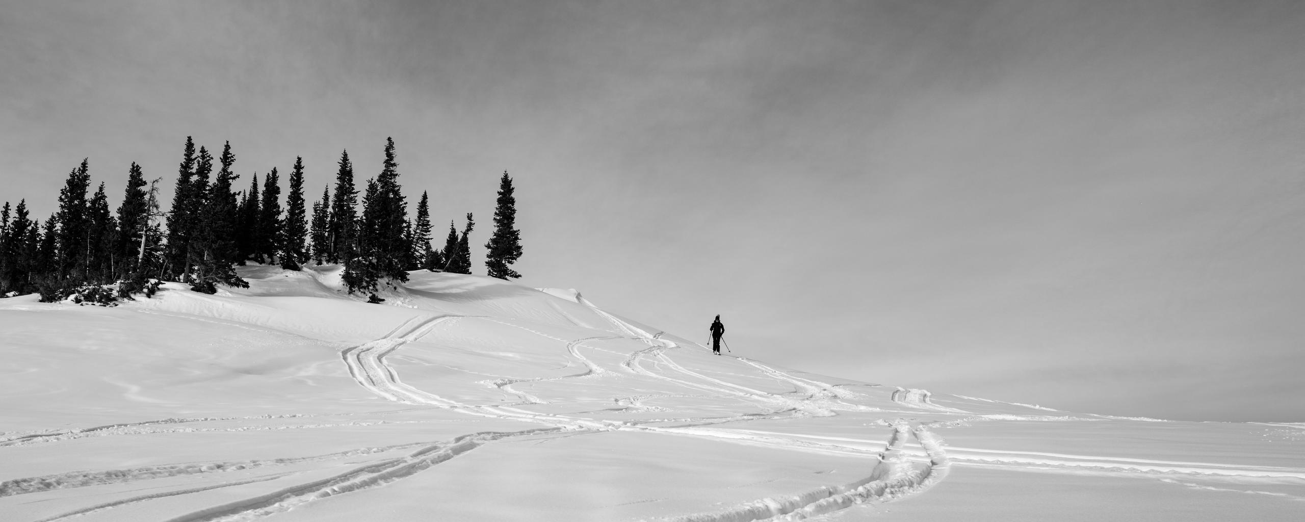 Black and white photo of snowy Aspen backcountry with single woman skiing in the distance