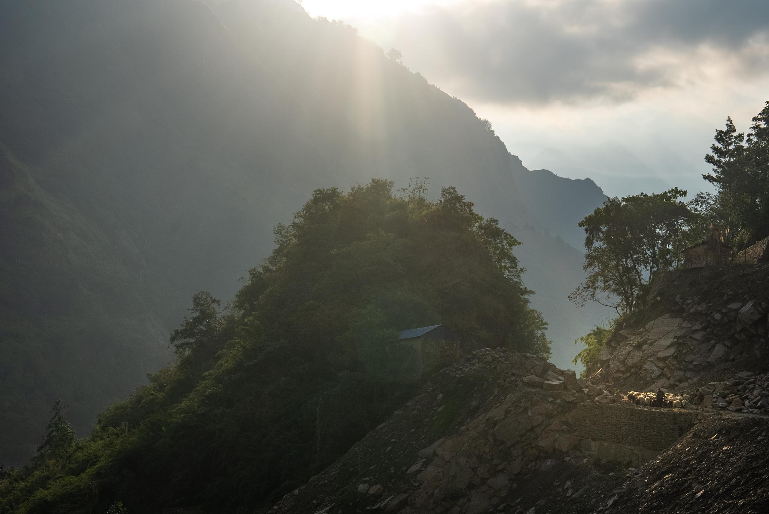 Sun peaking over mountains on Nepal casting light on small road with sheep and herders
