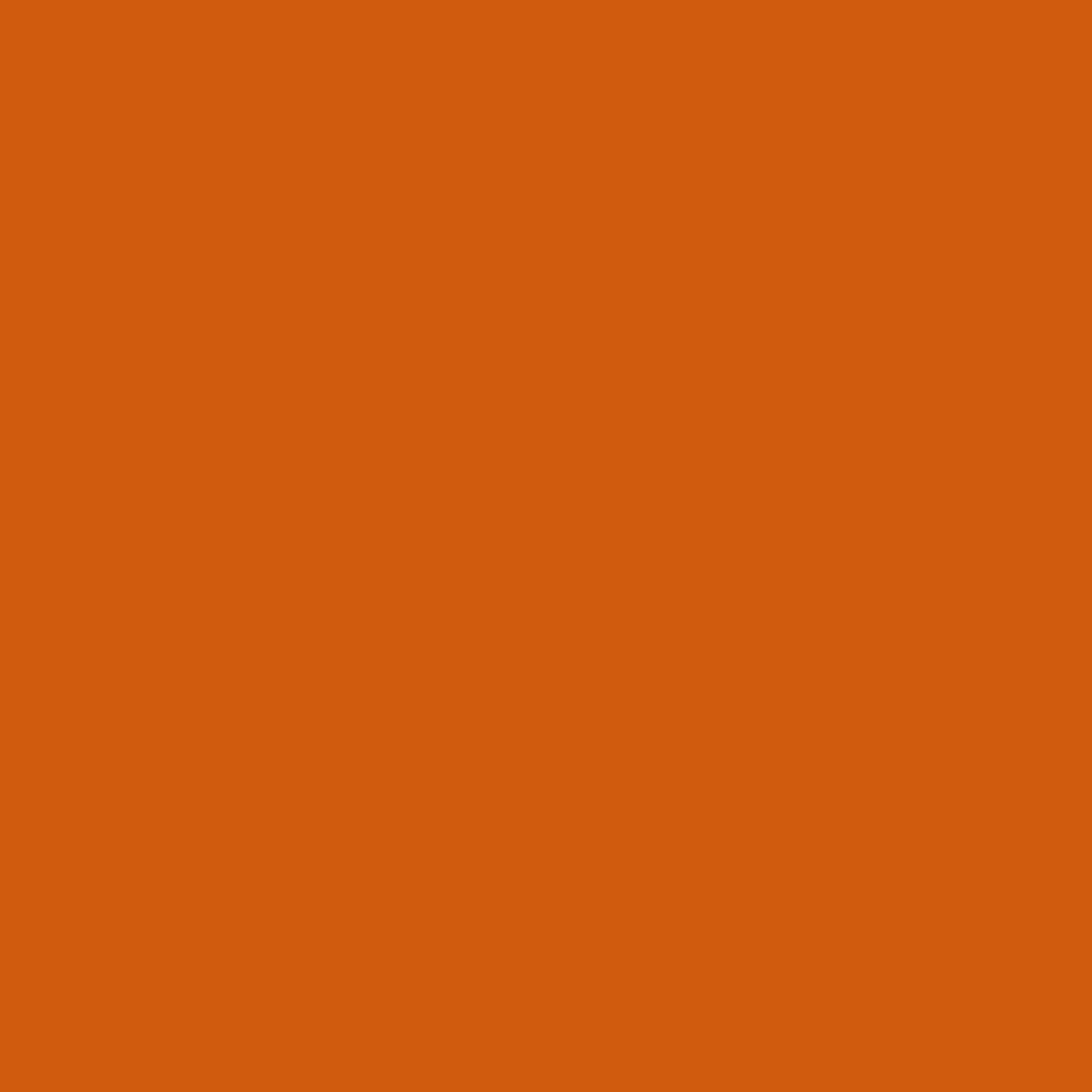 Autumn Orange Color Icon