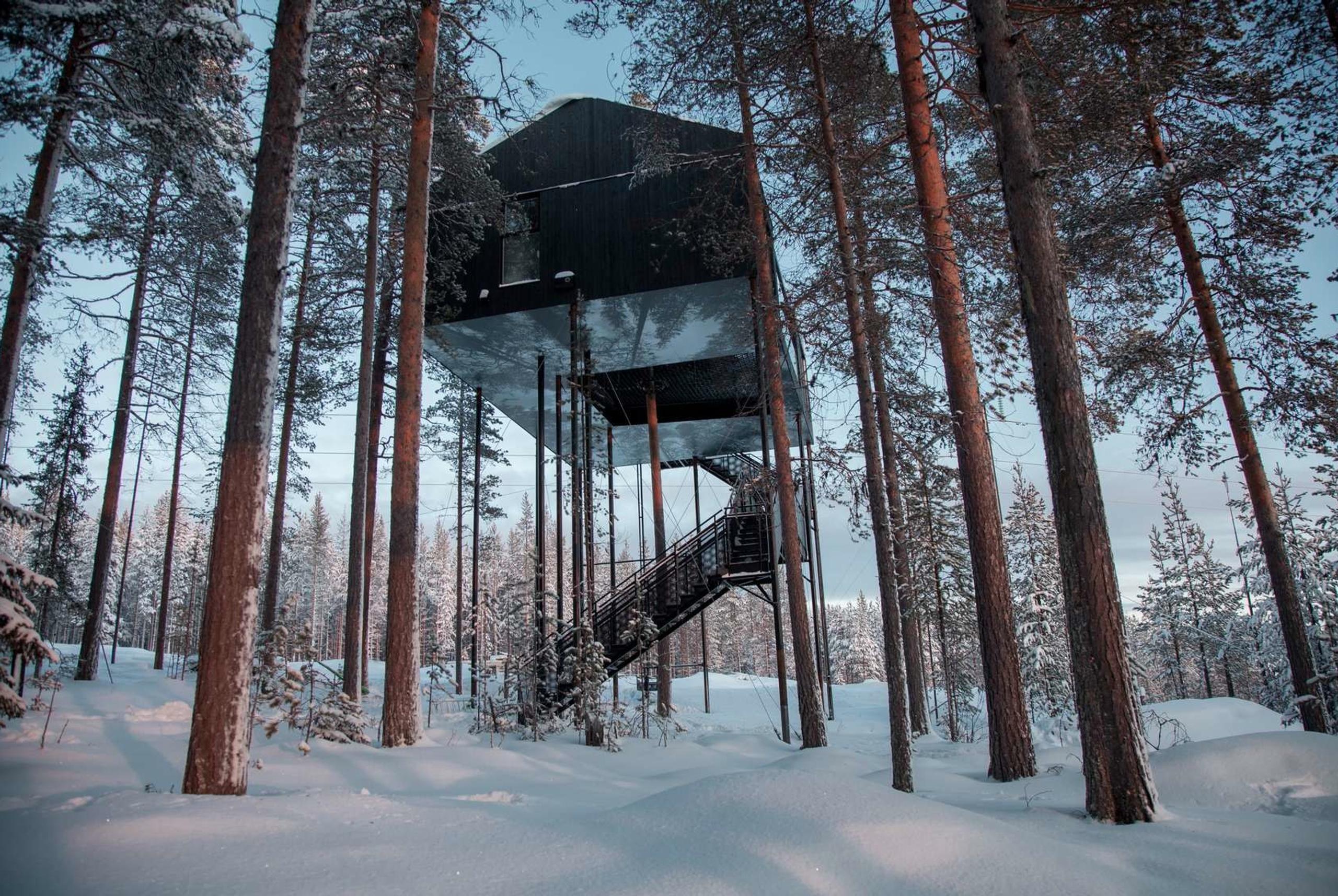 innovative building resembling a treehouse 