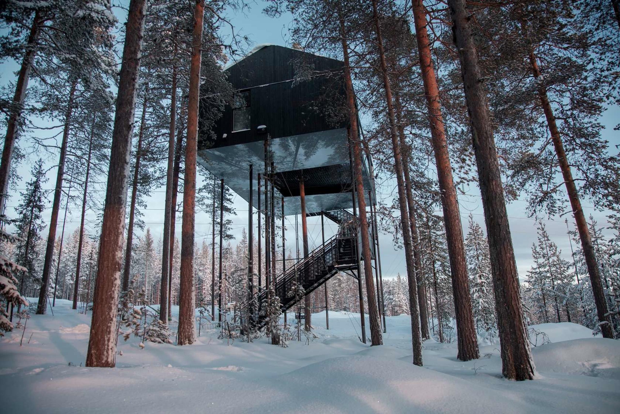 innovative building resembling a treehouse 